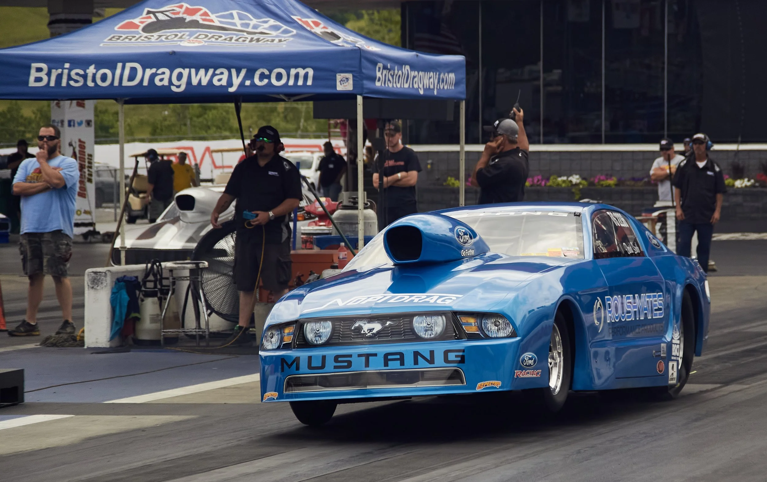 IMG_0165 bright 62.jpg