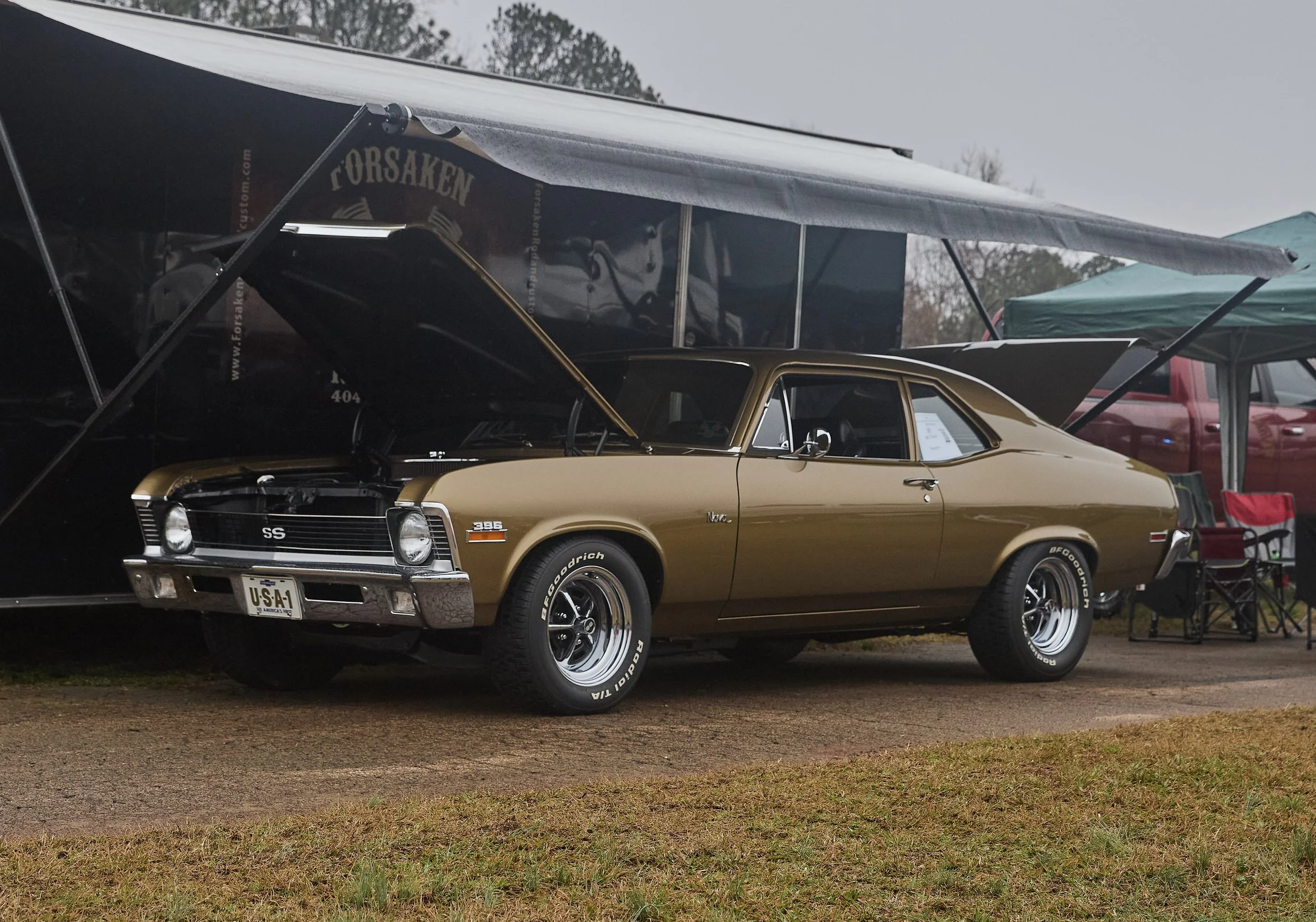 IMG_0165 bright 137.jpg