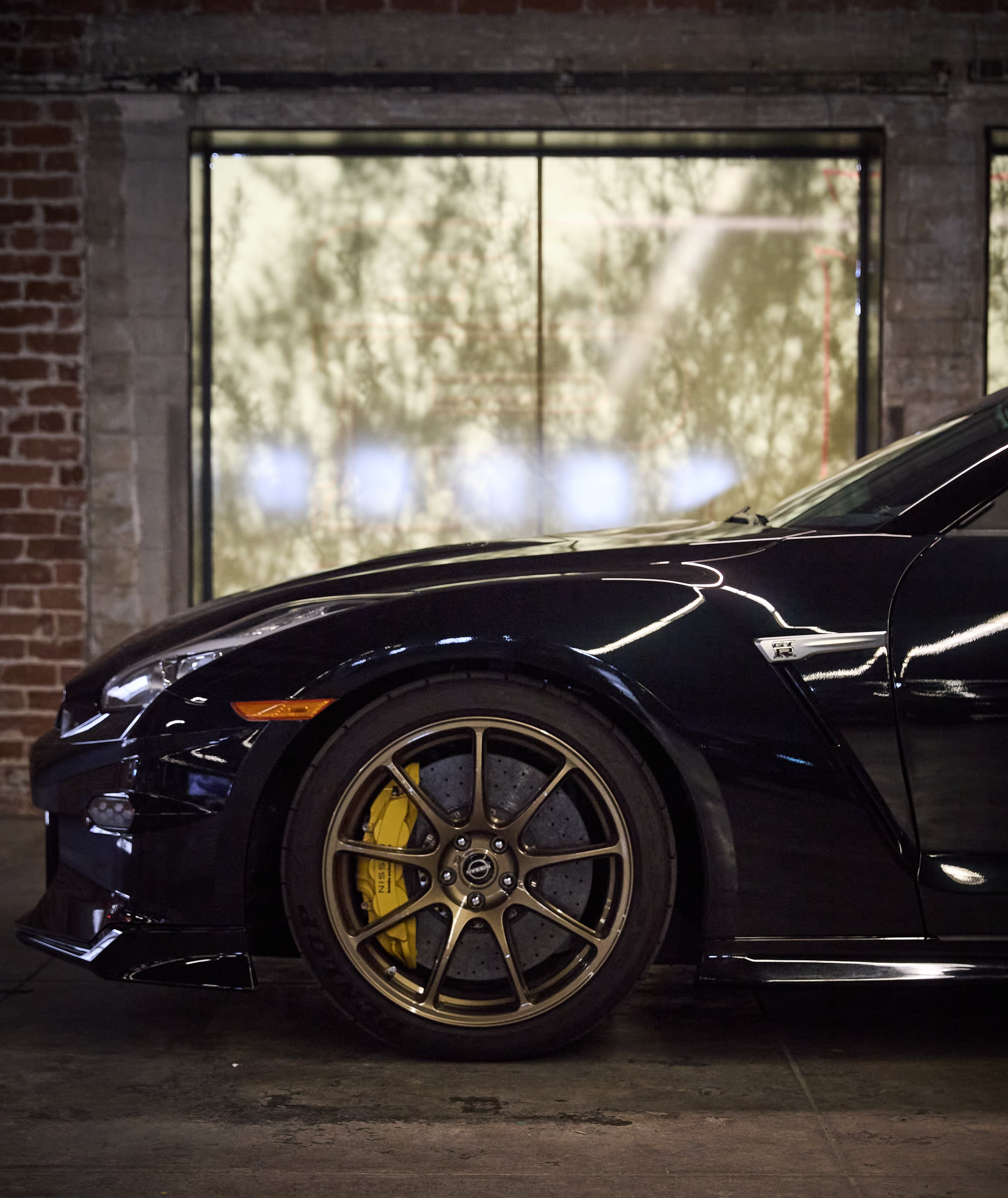 IMG_0165 bright 2.jpg