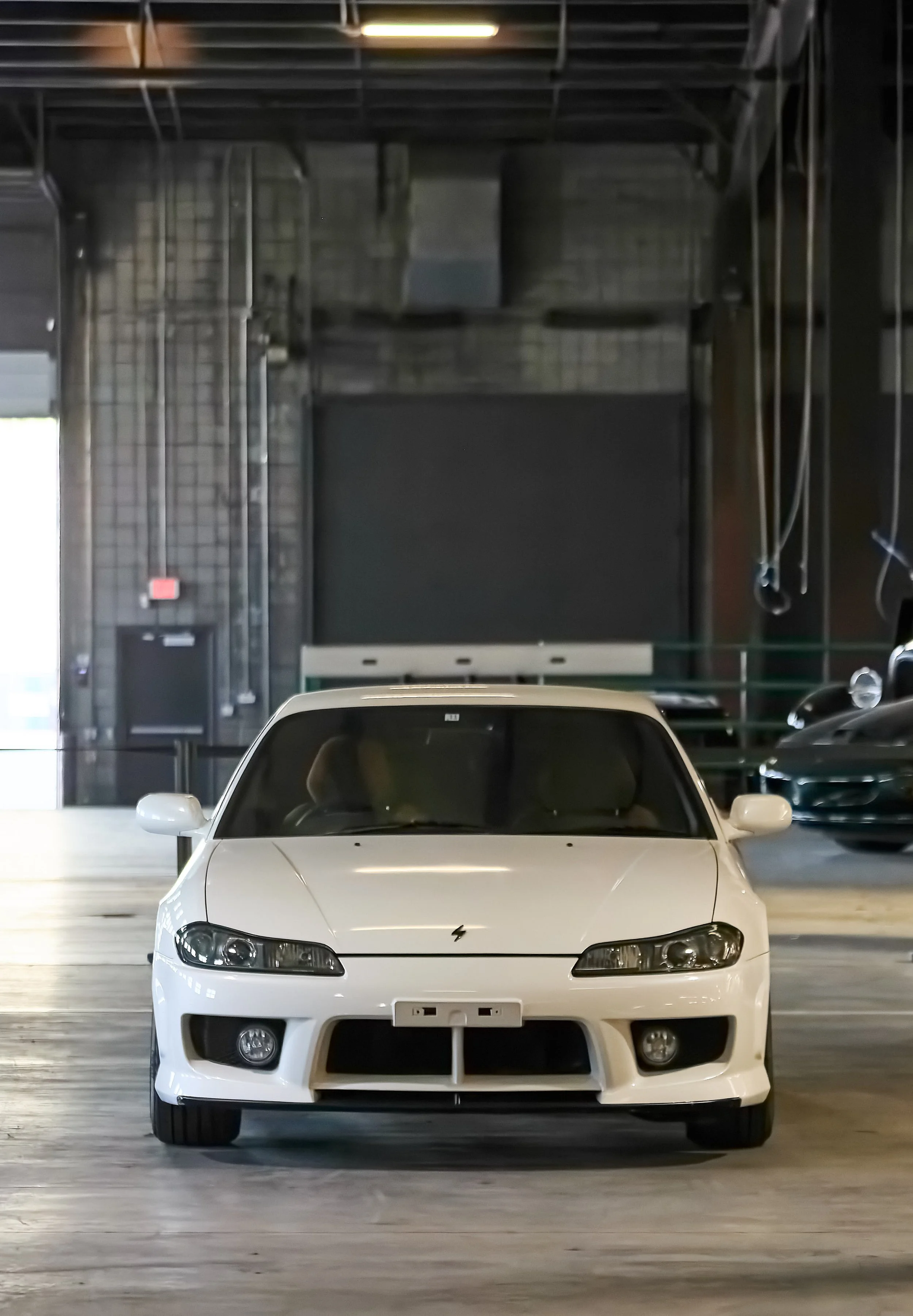 IMG_0165 bright 165.jpg