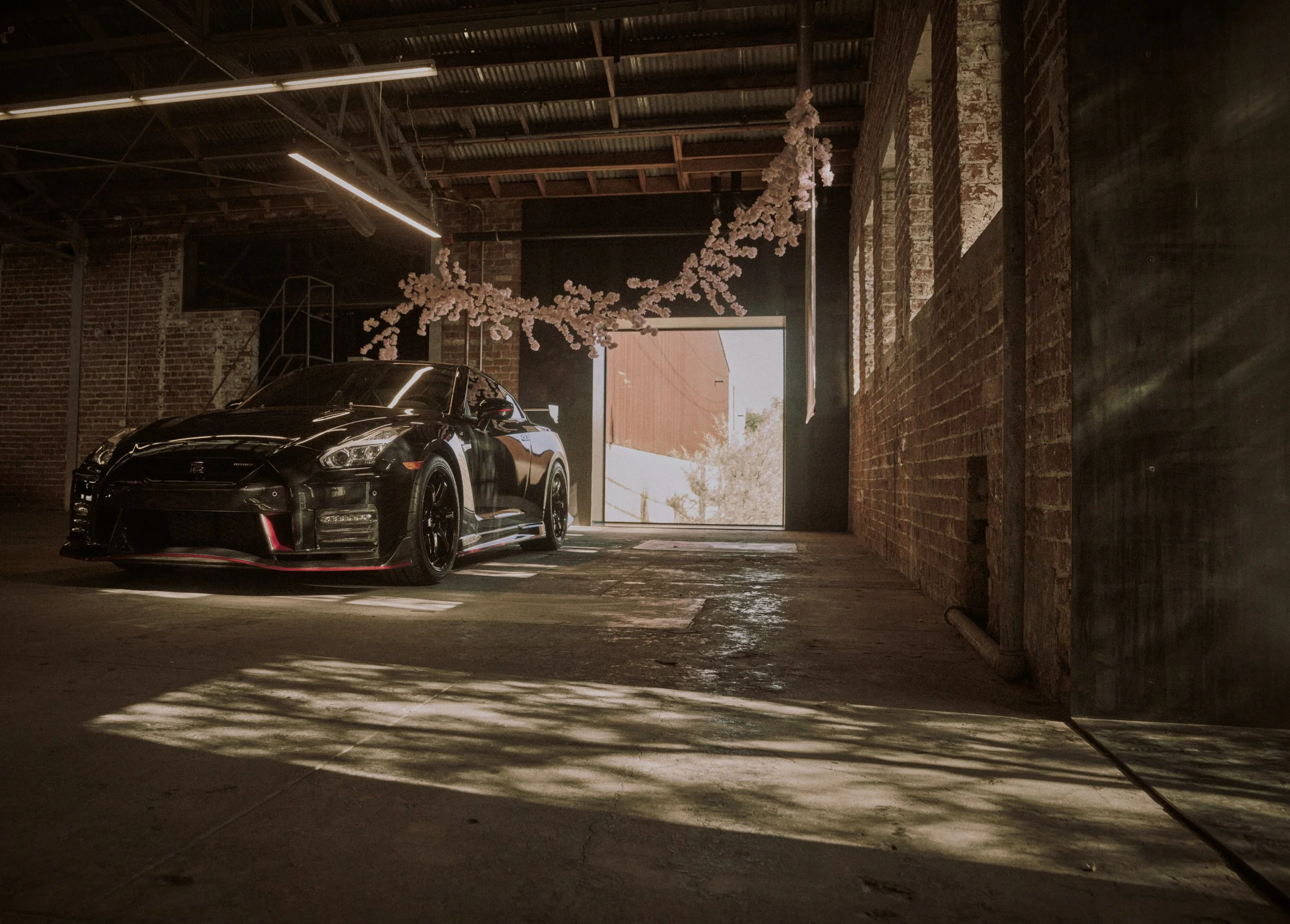 IMG_0165 bright 47.jpg