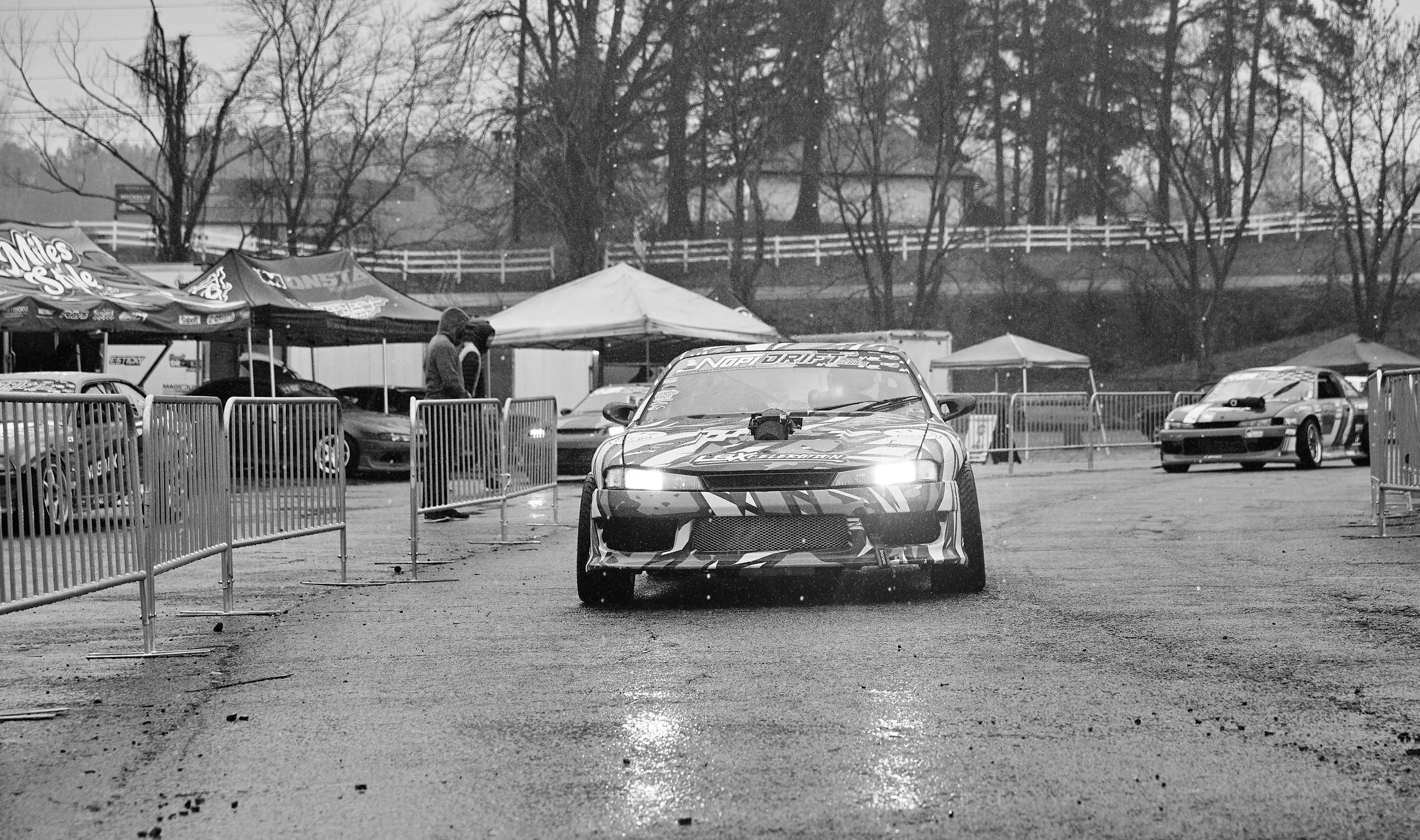 IMG_0165 bright 88.jpg