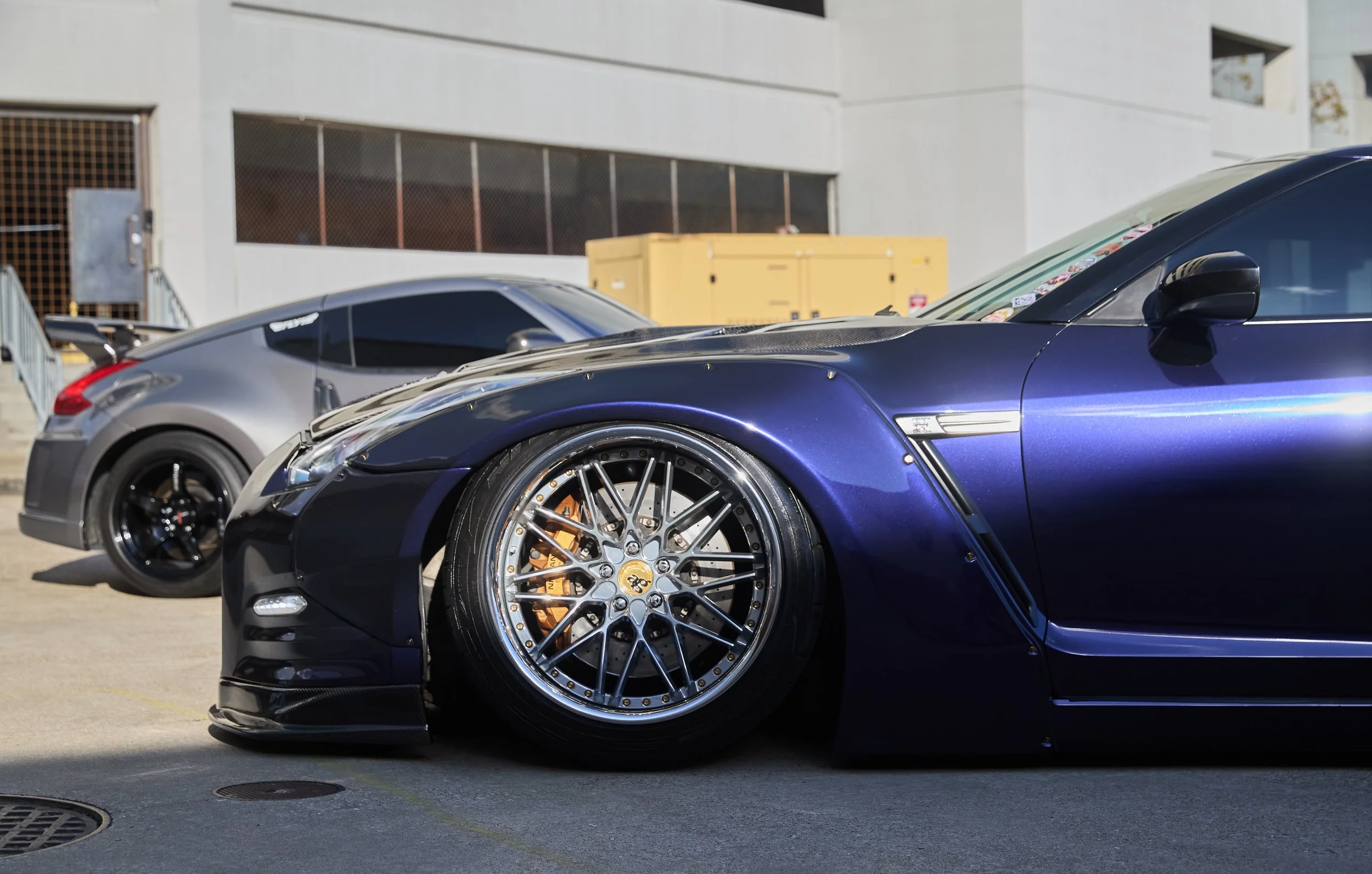 IMG_0165 bright 13.jpg