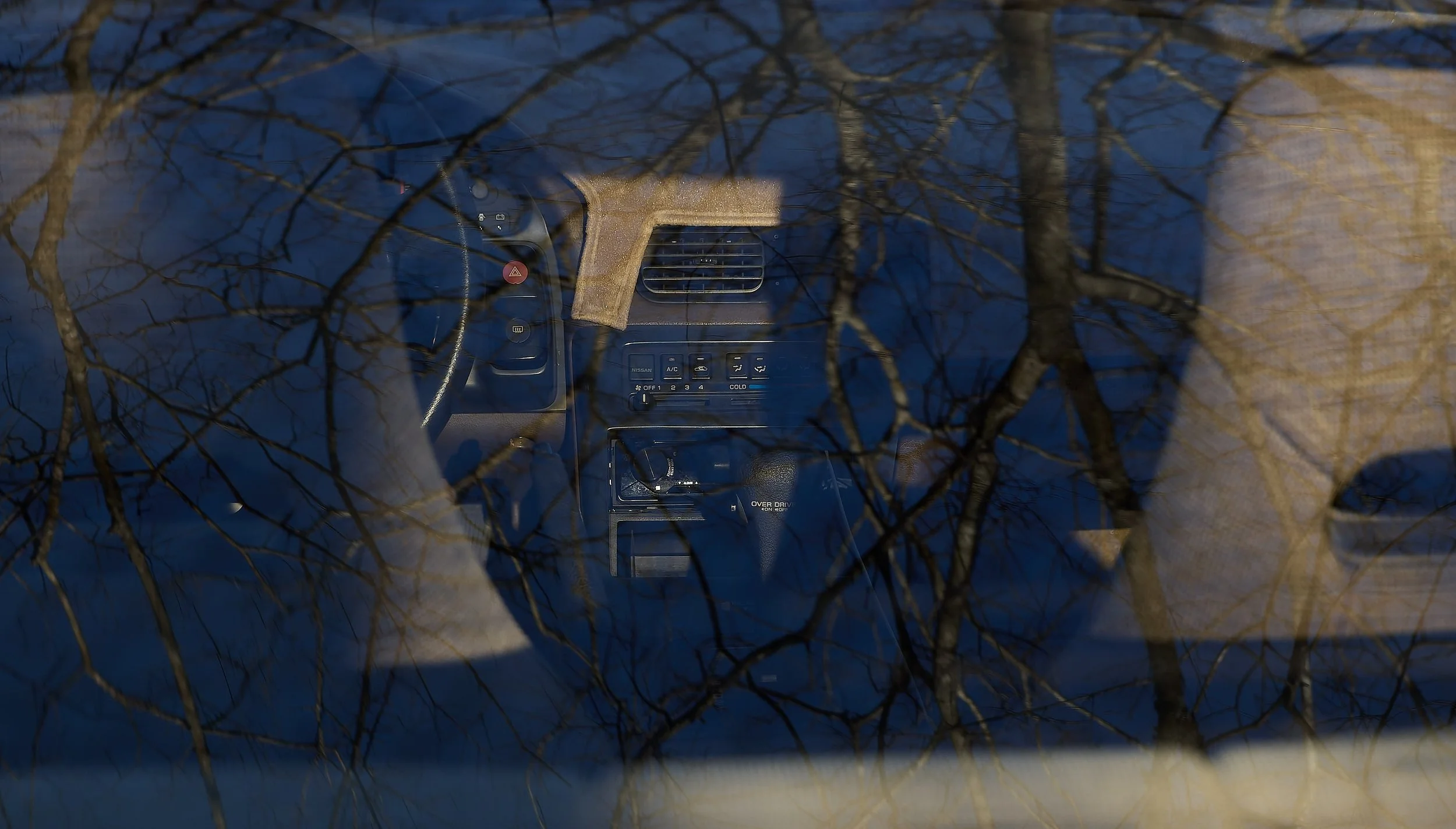 IMG_0165 bright 7.jpg