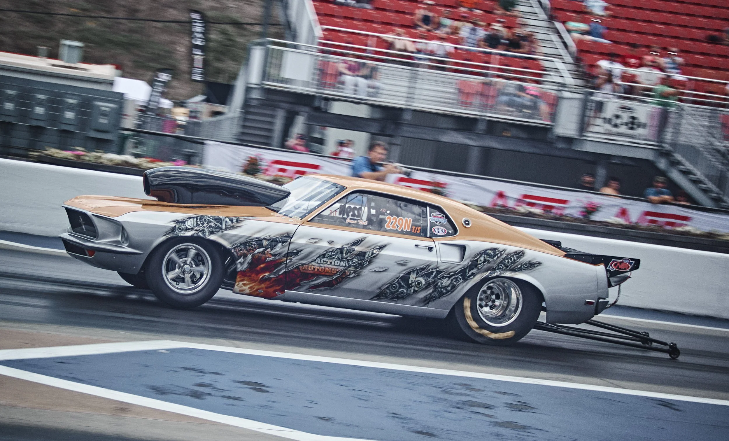 IMG_0165 bright 41.jpg