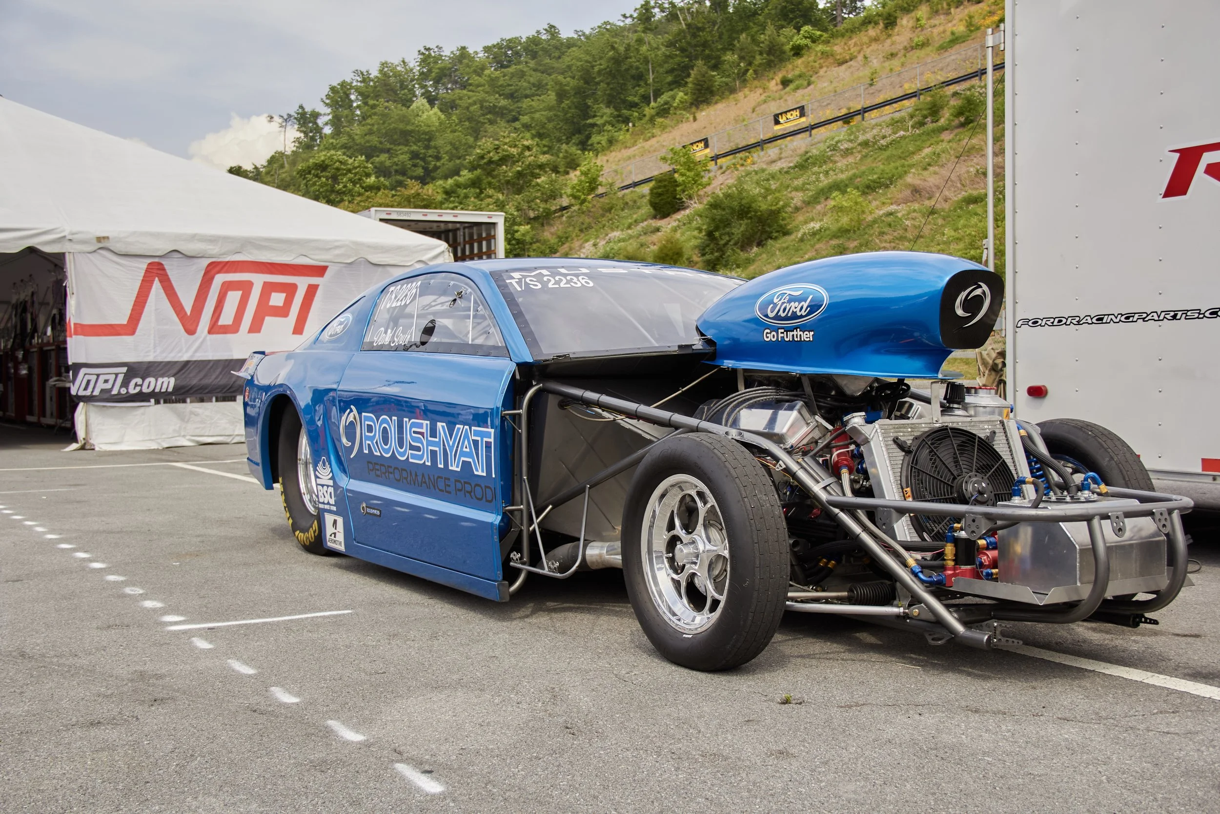 IMG_0165 bright 1.jpg