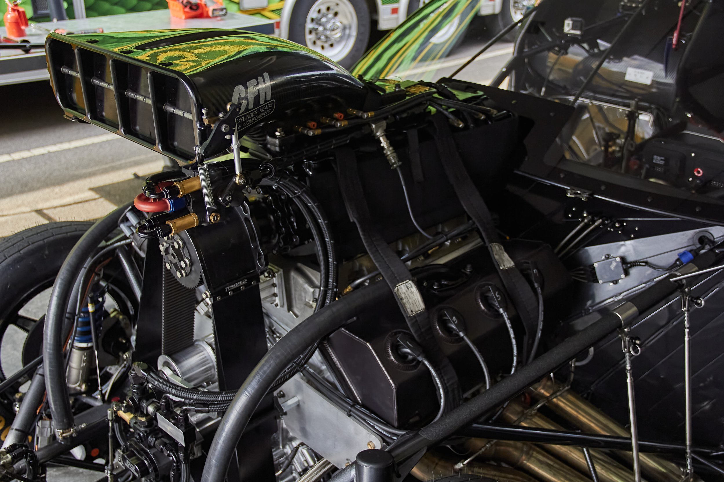 IMG_0165 bright 47.jpg