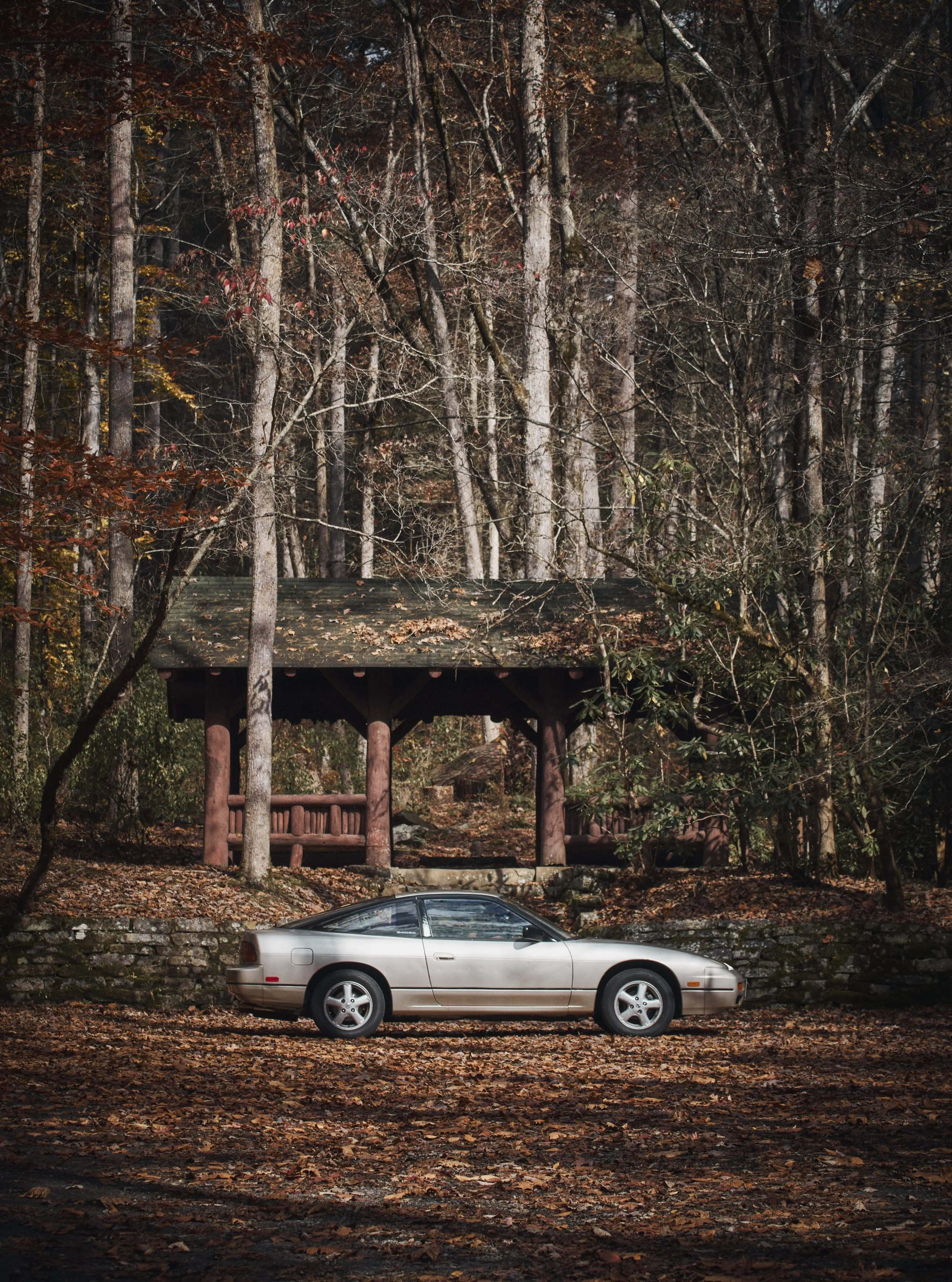 IMG_0165 bright 29.jpg