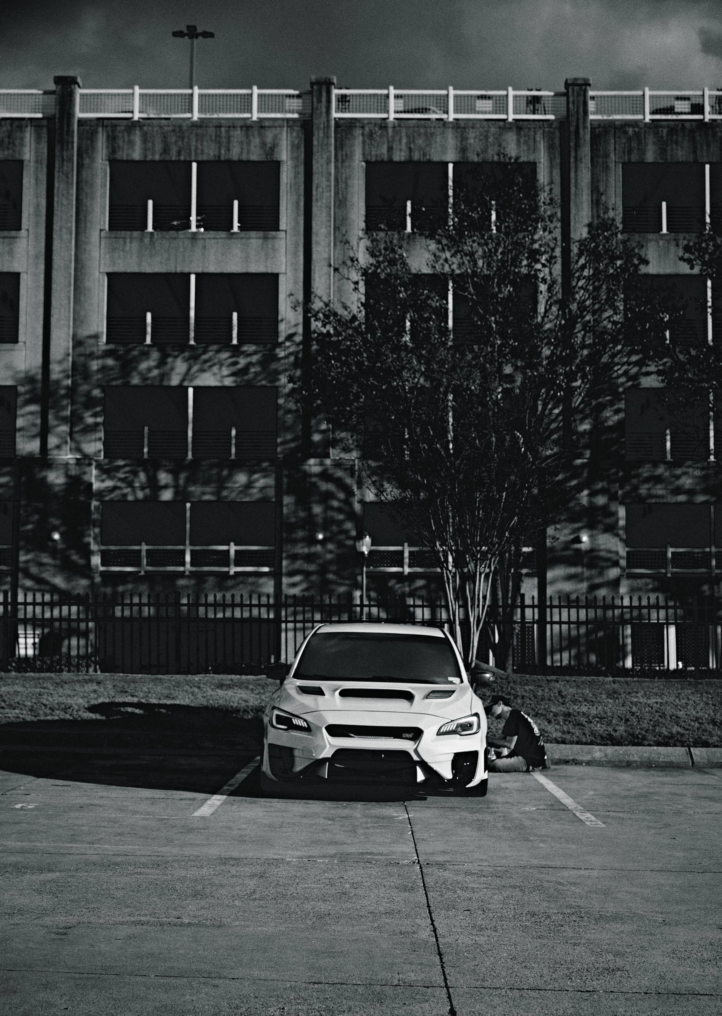 IMG_0165 bright 38.jpg