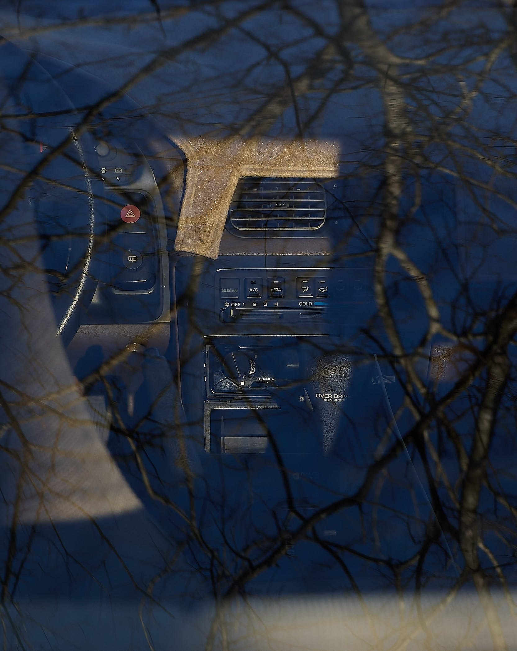 IMG_0165 bright 8.jpg