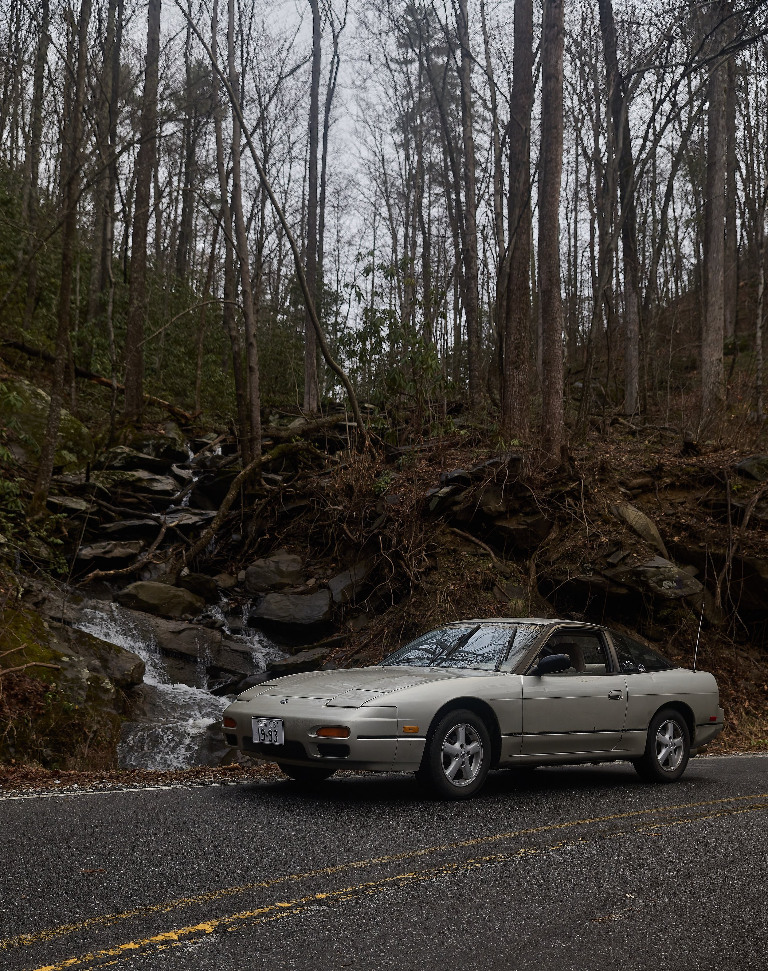 IMG_0165 bright 34.jpg