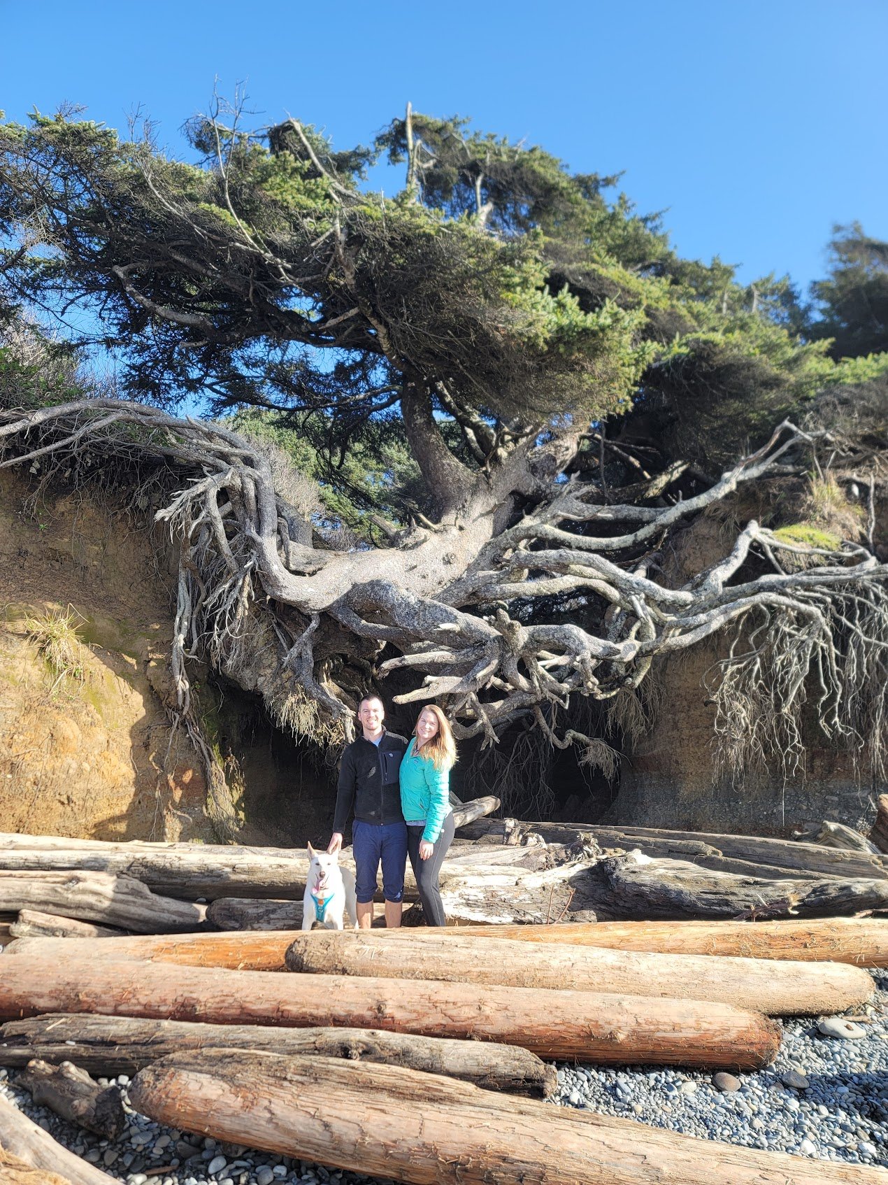 Tree of Life!  Spring 2023