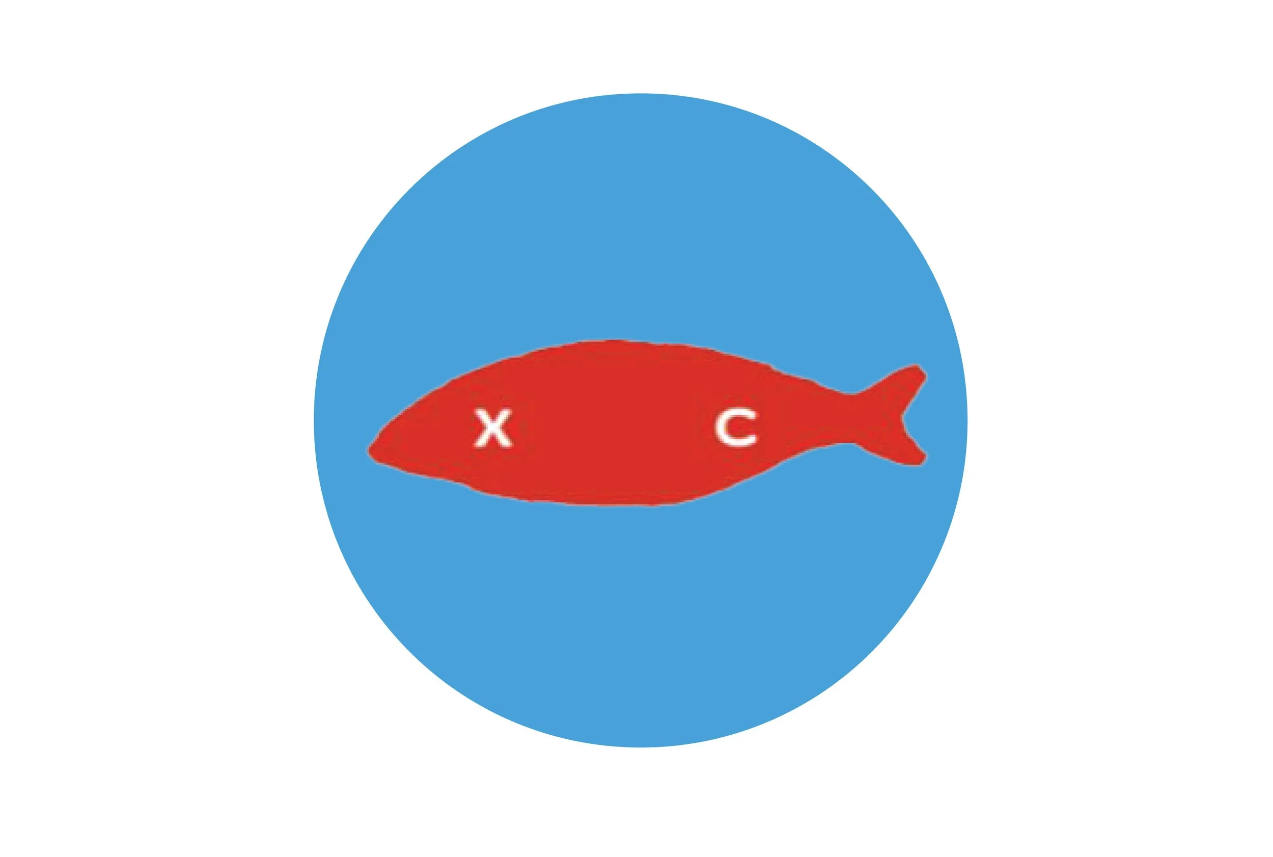 Xicago Cevicheria Pop-Up