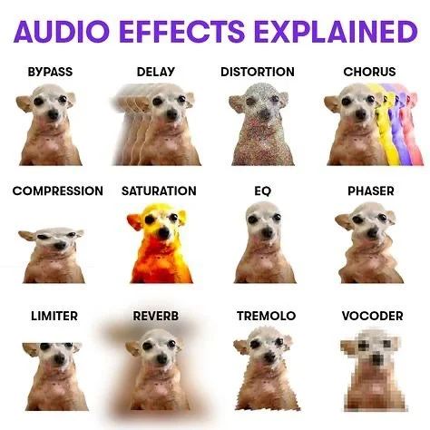 ⚠️ no dogs were harmed in the making of this graphic ⚠️