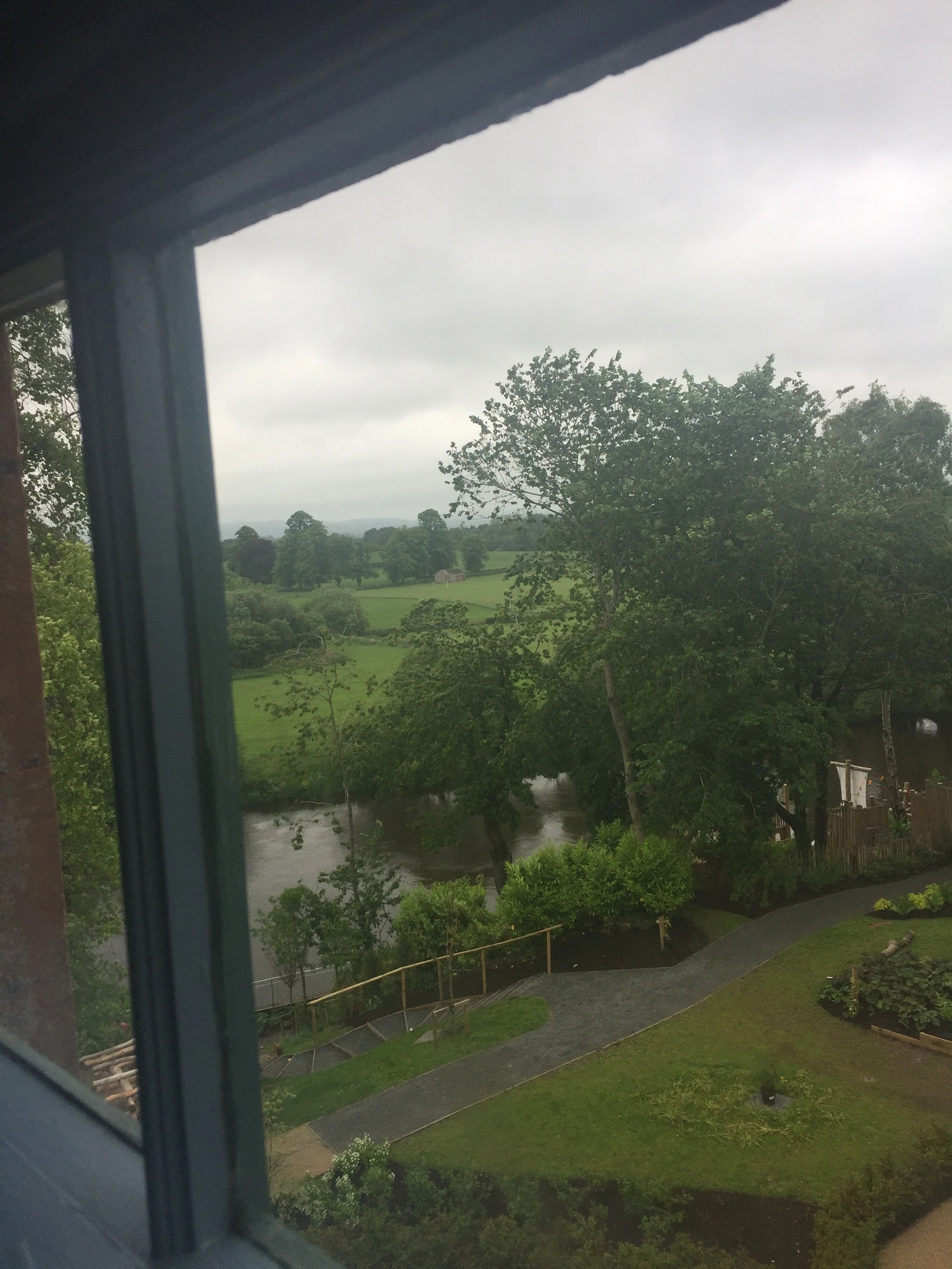 IMG_2593.jpeg