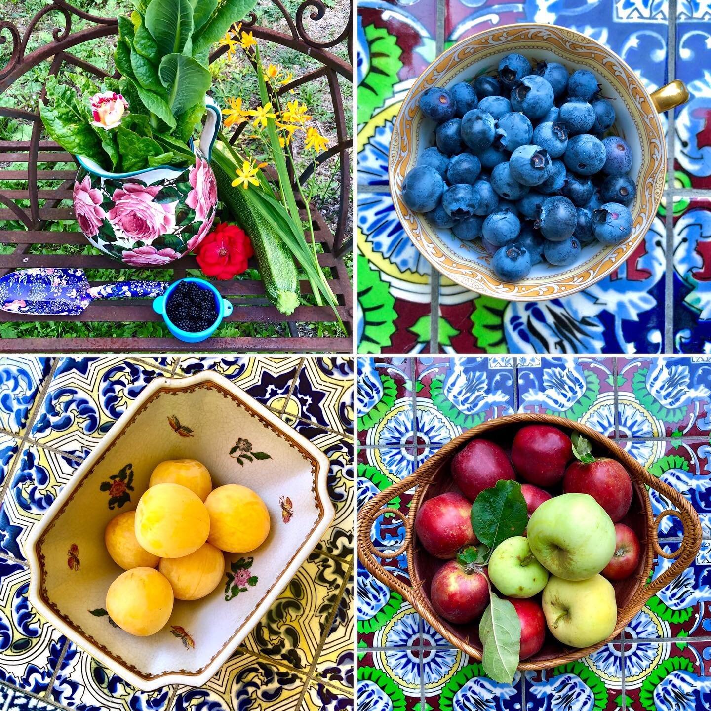 This photograph represents the bounty of nature in Washington and the kindness of neighbors 💚. Some items are from my garden, most were gifts. ✨