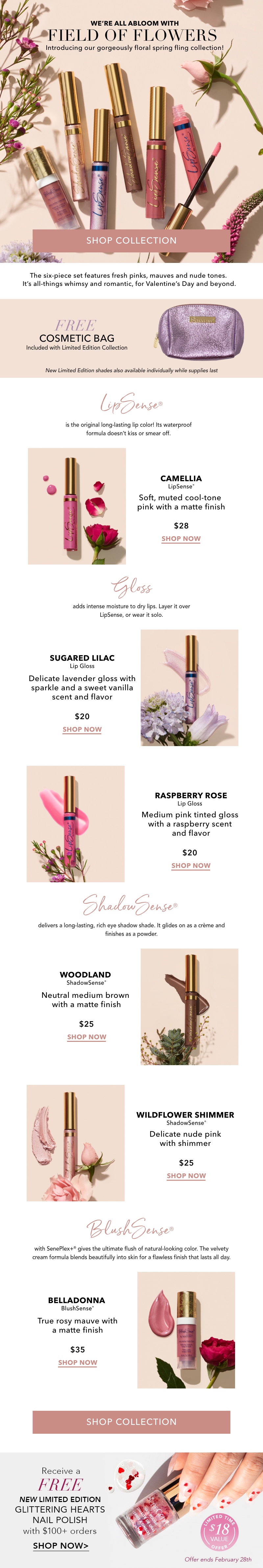 Eblast-FieldOfFlowers-USA-ENG.png