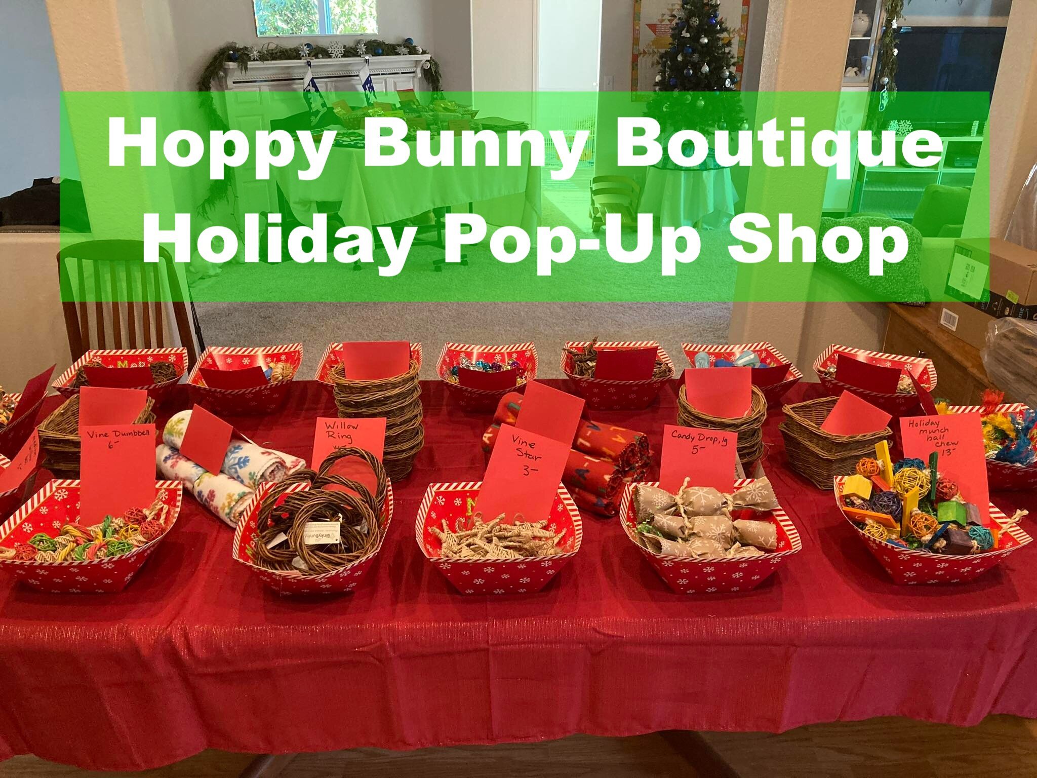 Bunny toy pop-up shop in Green Lake at Tamara's house this Saturday 11-3! Our dear friend Jen is bringing her Hoppy Bunny Boutique goodies and you don't want to miss this. Her toys are the BEST and we should know--she's been supplying bunny toys to s