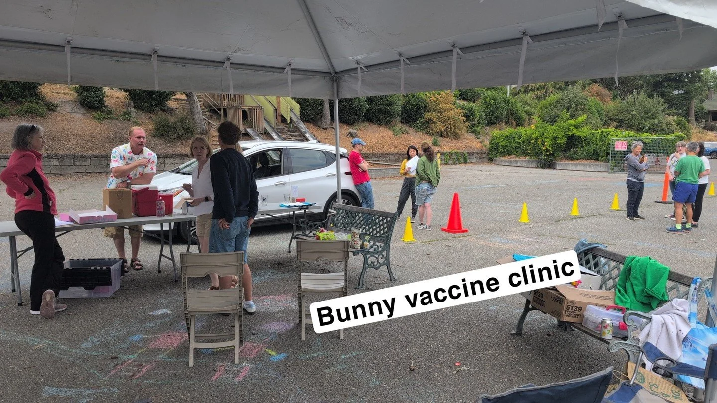 That's a wrap on our 2025 RHVD Vaccine Clinic!
ㅤ
Biggest of thank yous to @gig_harbor_wildlife_rescue and the Phinney Ridge Community Center for, once again, hosting an AMAZING vaccine clinic for us and all our bunnies!
ㅤ
3 hours of clinic hours, 120