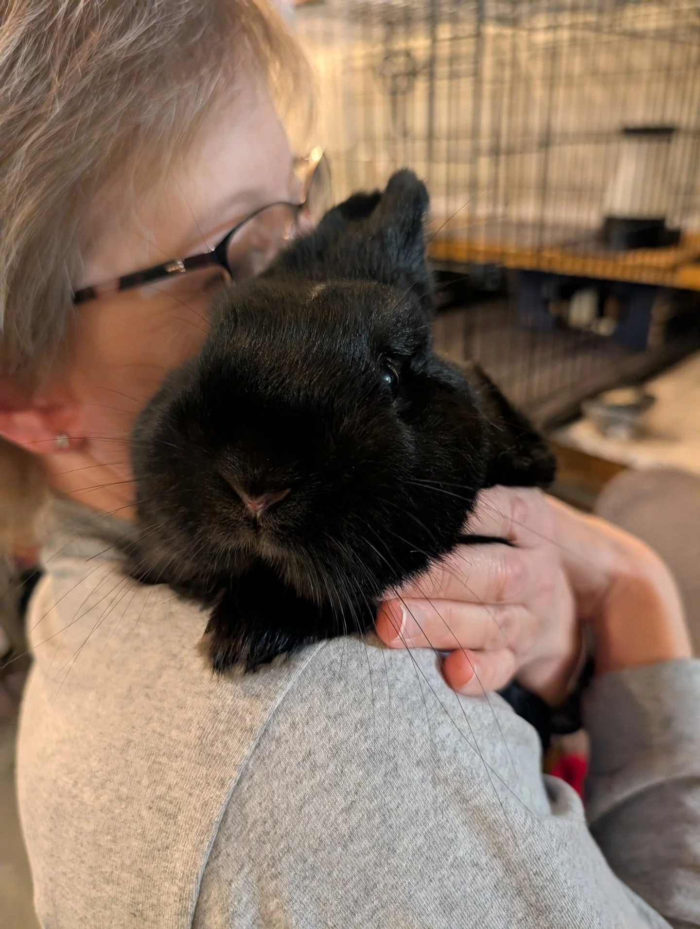 Never been so happy to be so sad! Our Cocoa has been adopted!! 😭🥰😭🥰
ㅤ
A sweet bunny soul found a forever home with a sweet human soul 🥰 When the right bunny hops into your life, you know they're yours, and that's what happened with Lisa.
ㅤ
We'll