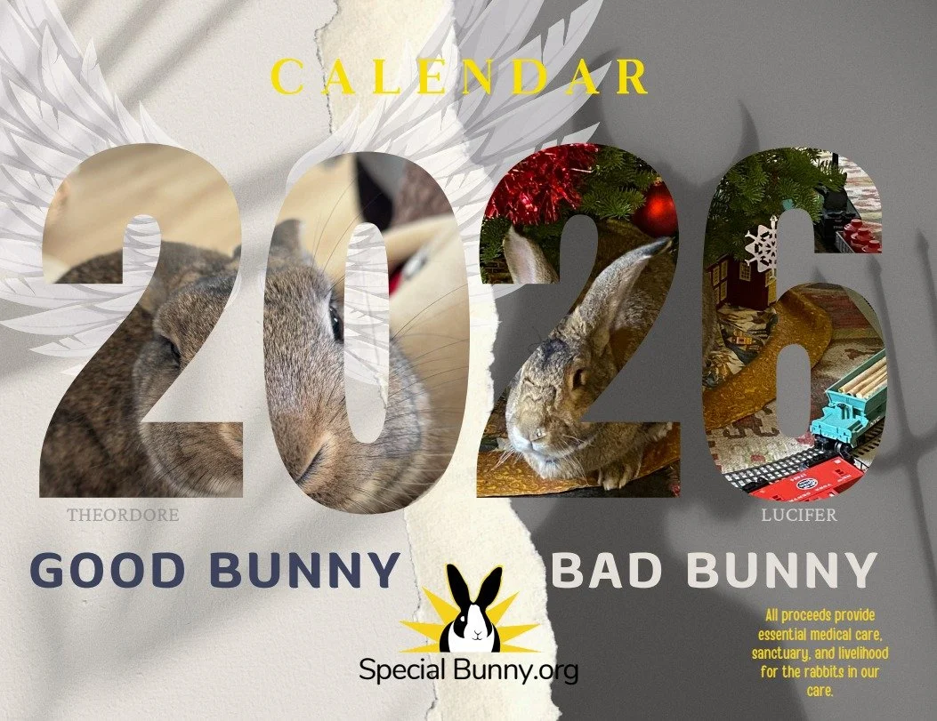 🗓️A Year of Cute: 2026 Calendar Now Available!