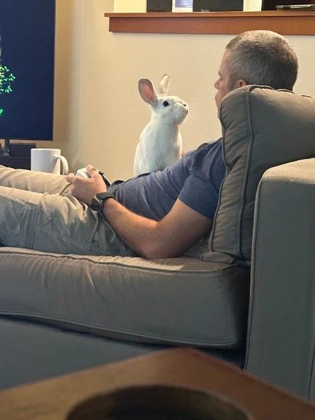 Another Adoption Success Story: Orion 🥰😭🥰😭
ㅤ
Is there anything more special than a dad reluctant to adopt a rabbit, only to have that rabbit turn out to be his best friend?? 😭😭😭 MY HEART
ㅤ
Meara, the hero (aka Orion's new mom), says this is ho