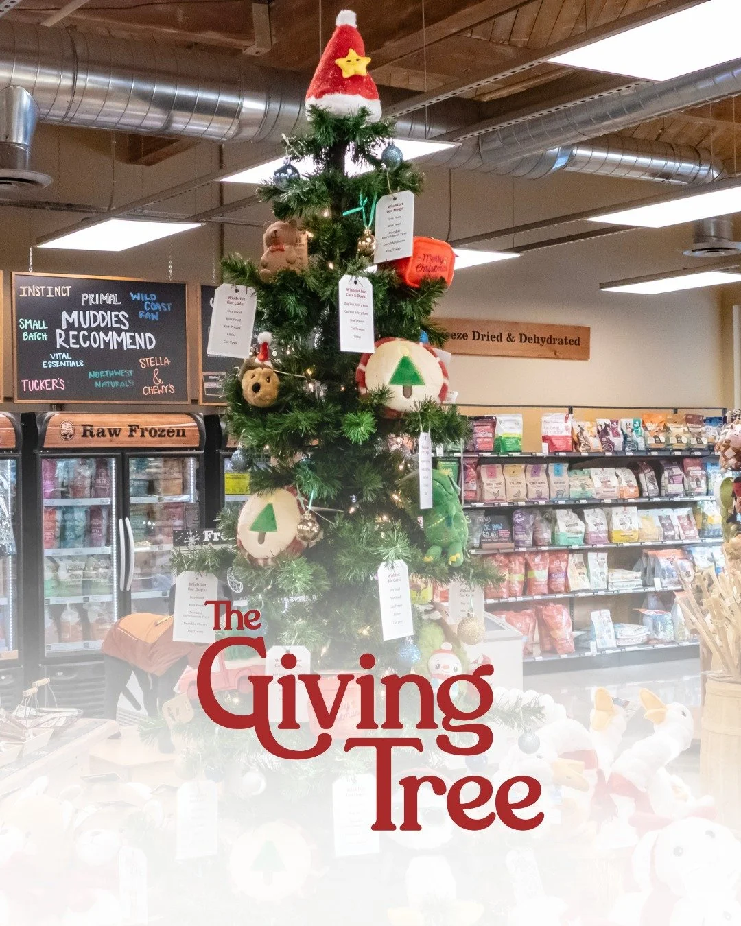 Now through December 31st, you can support Special Bunny and help pets in need when you visit @mudbay Greenwood and @mudbay Canyon Park 😍
ㅤ
The Greenwood and Canyon Park location have a Giving Tree filled with ornament tags featuring wish list items