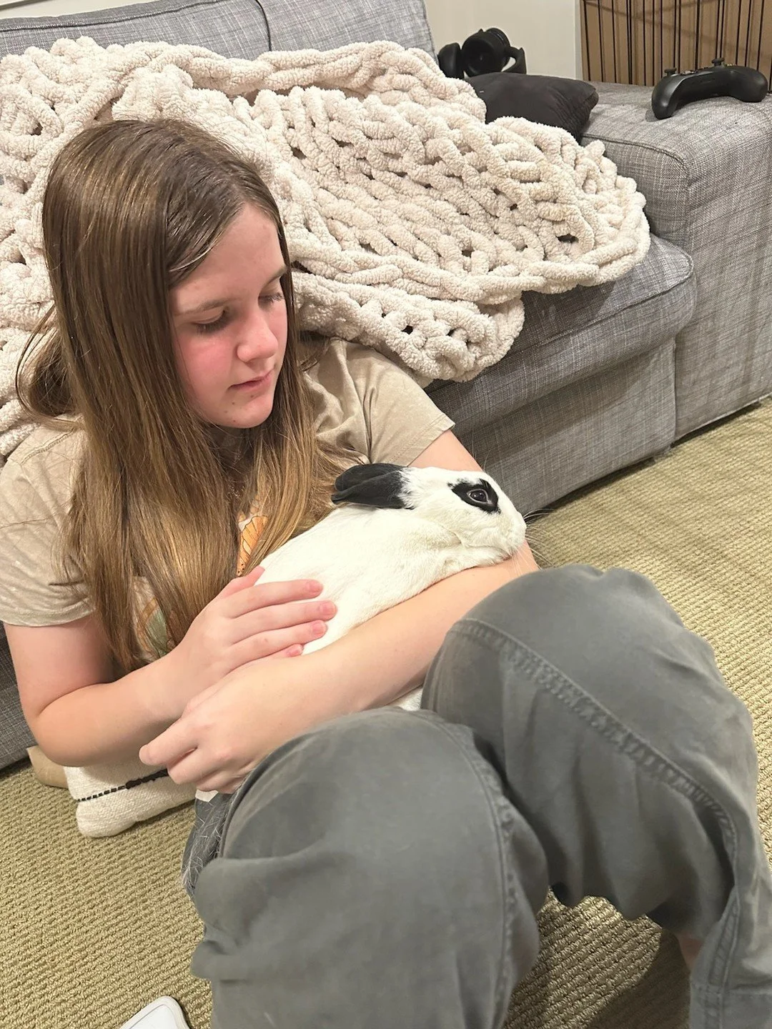 ADOPTION SUCCESS STORY 🥰🥰
ㅤ
Guys, this one hits close to home: Tony, our sweet boy, who always does the MOST binkies, and has a forever curious expression (because of a little head tilt) has found a forever home 😭😭
ㅤ
Getting settled into a free-r