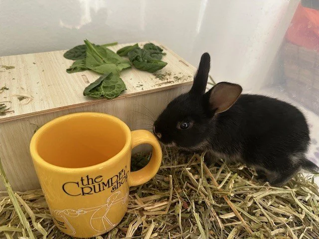 Dear Friends and Supporters,
ㅤ
I want to take a moment to say thank you -- truly and from the bottom of our hearts.
ㅤ
Whether you give monthly, make a one-time gift, send supplies from our Wish List, or support us quietly and anonymously, please know