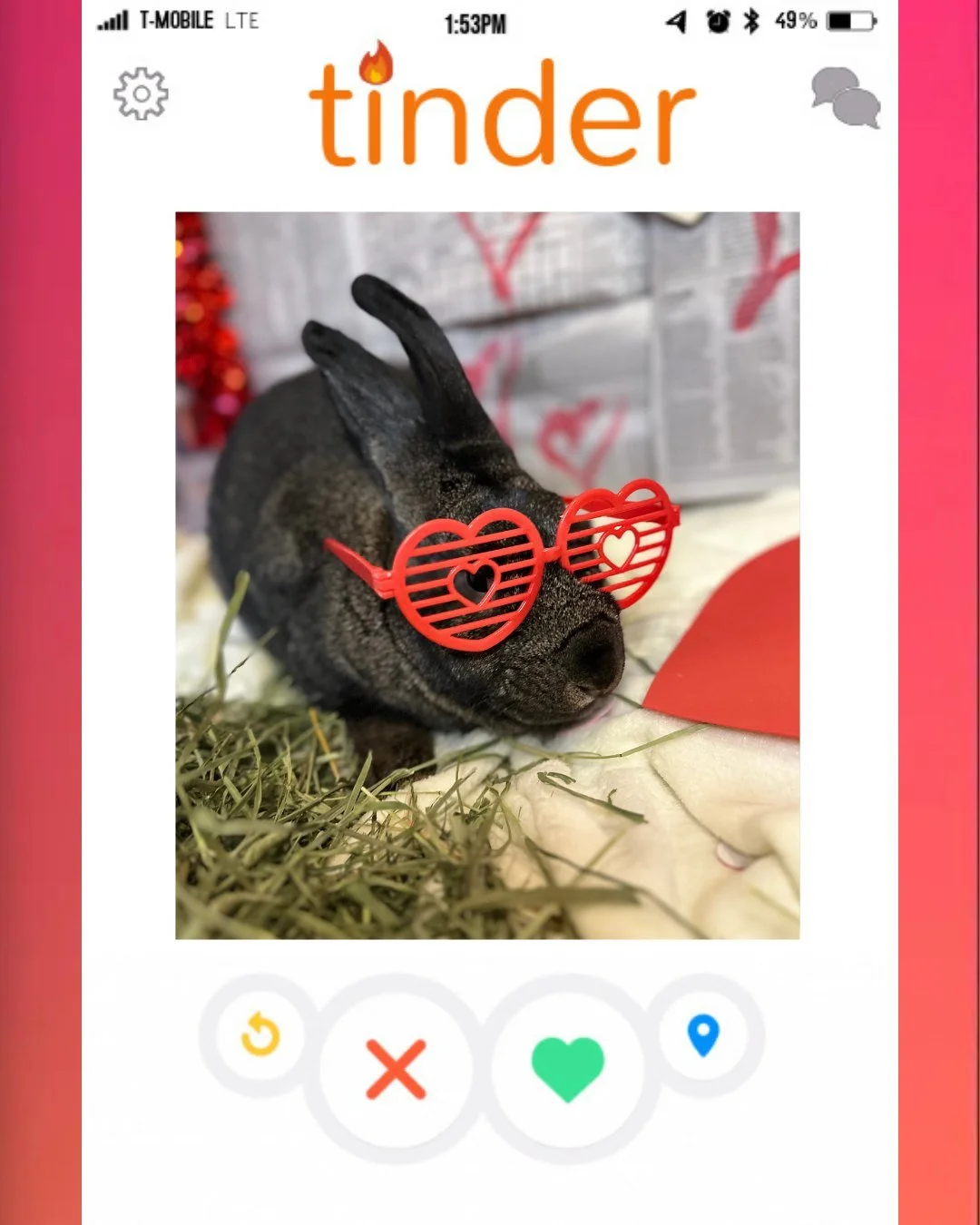 How is Mr. Brambles still single?? He's pure rizz
ㅤ
#RabbitRescue #BunnyRescue #AdoptDontShop #AdoptABunny #RescueRabbits #HouseRabbit #RabbitLovers #BunnyLife #BunnyLove #RescuePets #RabbitCommunity #SaveTheBuns #RabbitAdvocate #FluffyFriends #PetRe