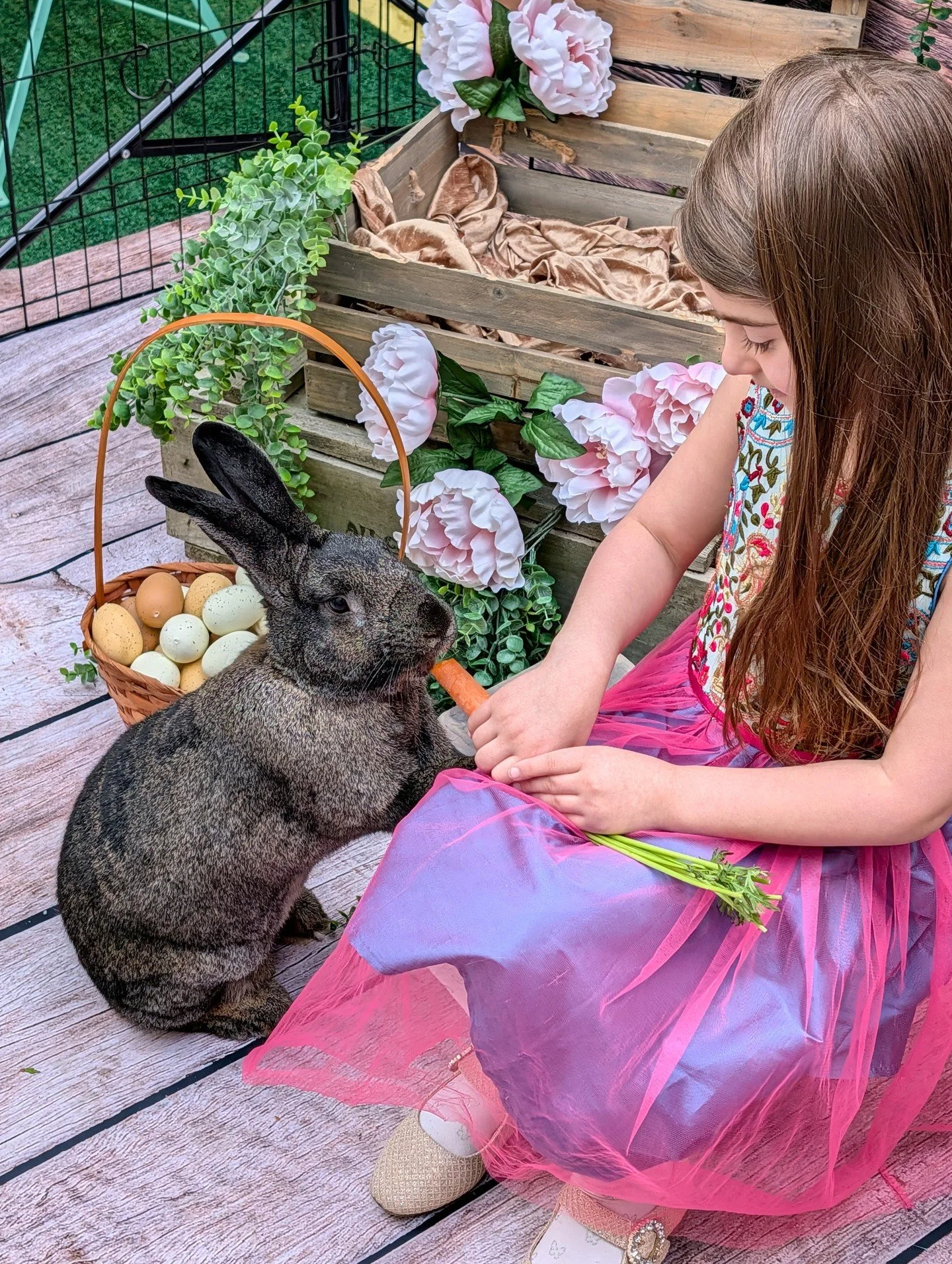 There's a common MYTH that rabbits are best suited for children:
ㅤ
But, in reality, children are loud, fast paced, growing joy machines and rabbits generally thrive on quiet and calm.
ㅤ
Mr. Brambles is the exception that proves the rule ❤️
ㅤ
He absol