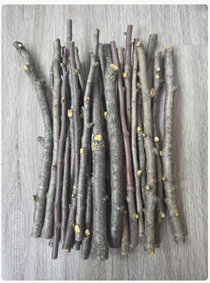 Every year the amazing volunteers of @cityfruitseattle (an organization that takes care of the fruit trees on public property and gives the harvested food to food banks!) does a massive pruning project to keep the trees healthy.
ㅤ
Their volunteers ta