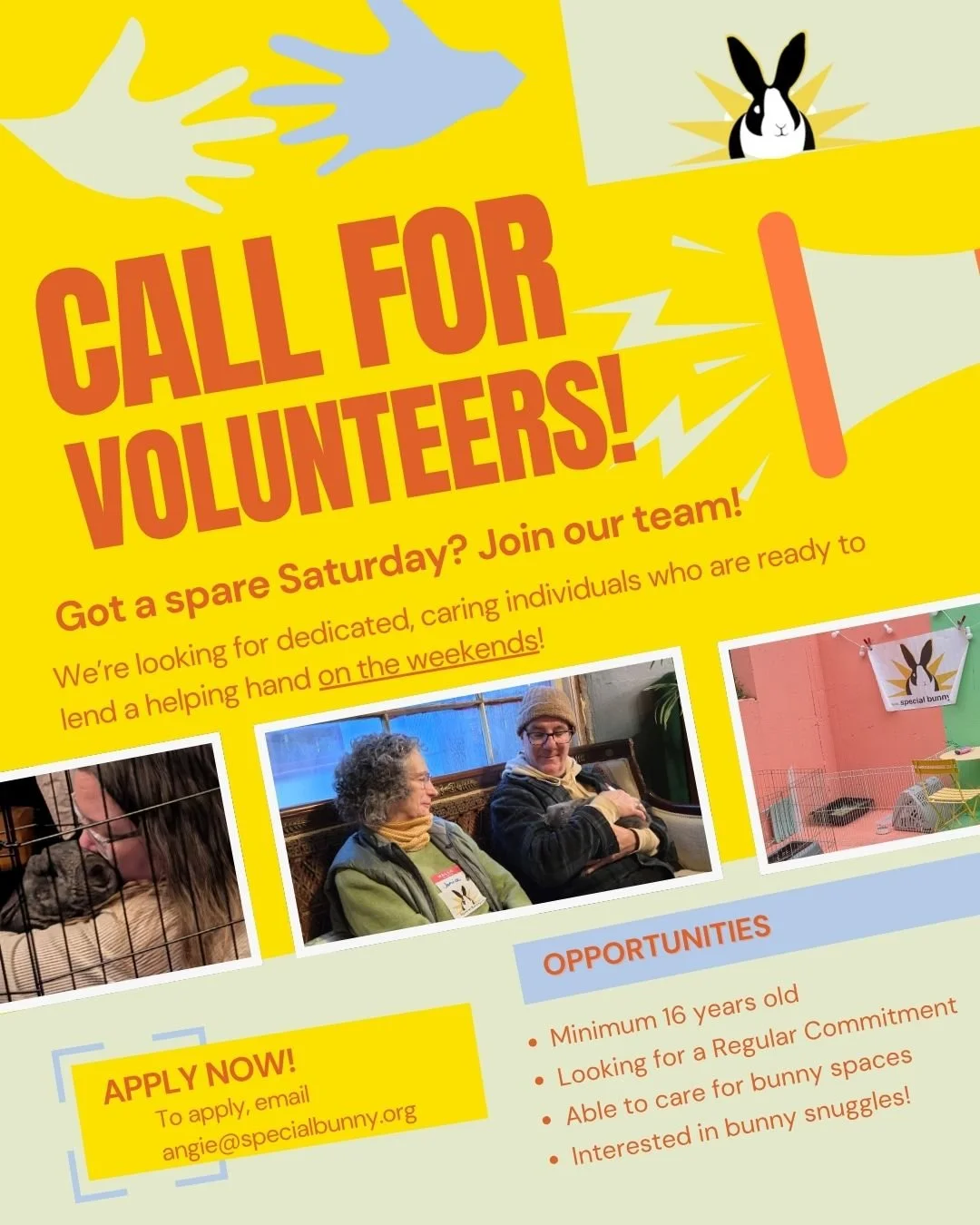 Love bunnies?? Got a spare Saturday (or Sunday)??
ㅤ
We're able to help more and more bunnies, but that means we'll also need more hands to help!
ㅤ
Email angie@specialbunny.org to sign up
ㅤ
We really appreciate you ❤️❤️