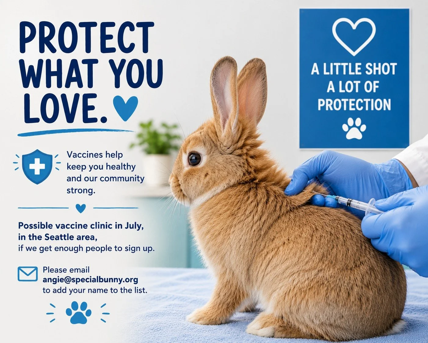 🐰💉 Protect What You Love 💙
ㅤ
We are looking into hosting a possible rabbit vaccine clinic in July in the Seattle area &mdash; but we need enough interest to make it happen!
ㅤ
Rabbit vaccines can help protect against serious and deadly diseases, an
