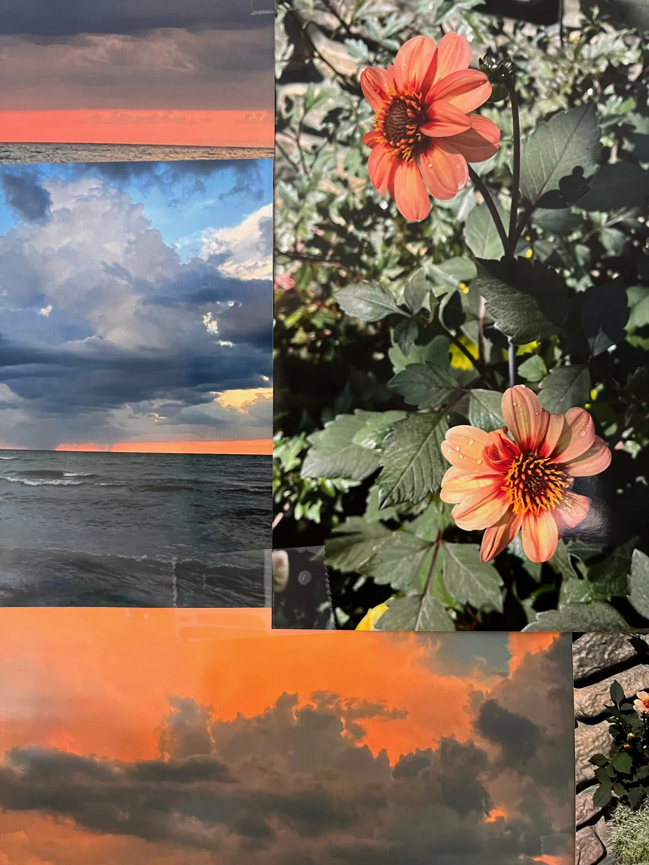IMG_5955.jpeg