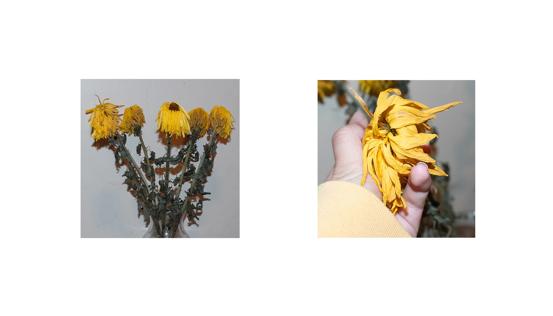 Grids_&_Sequences_4.jpg