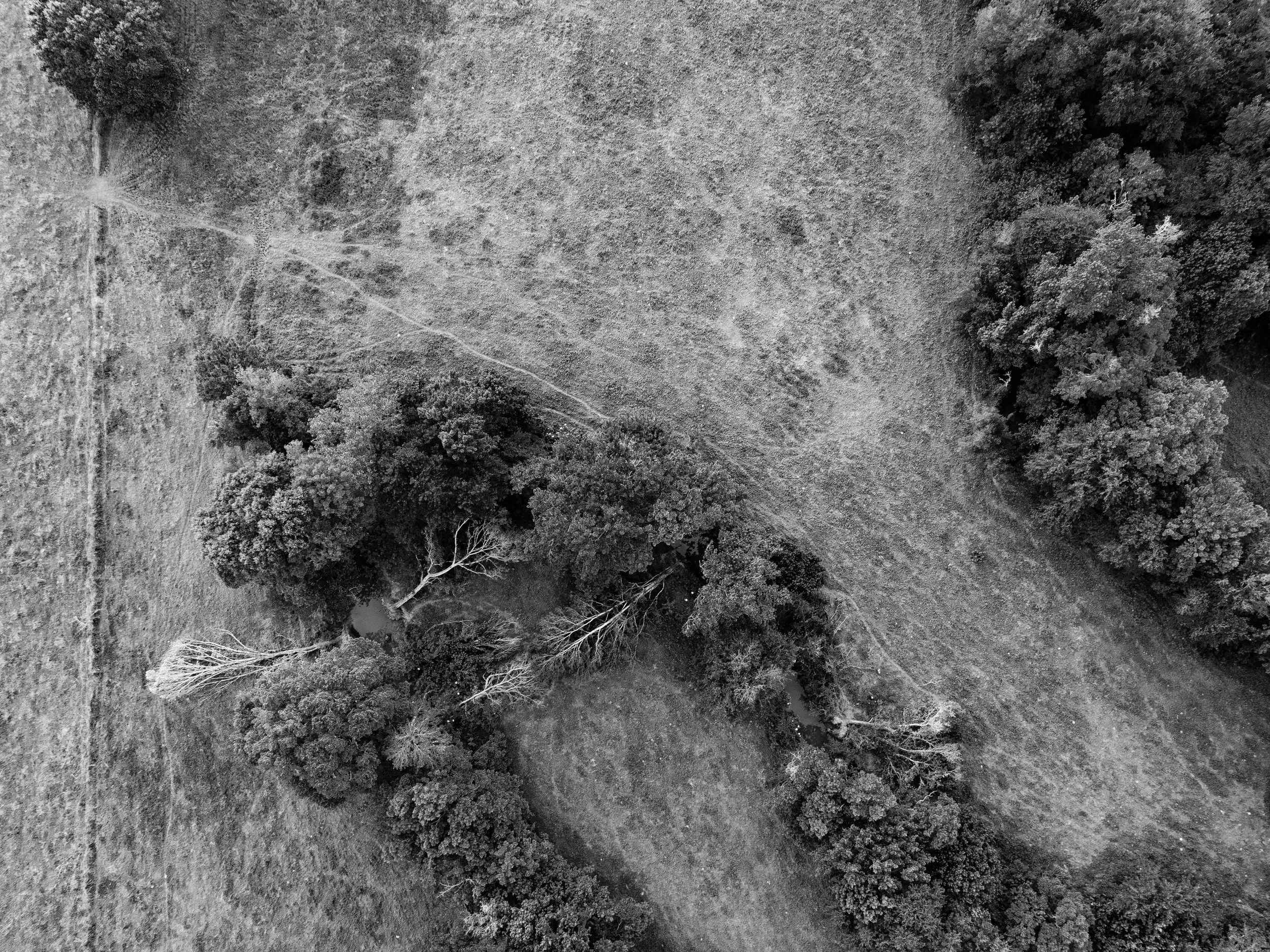 DJI_0061.jpg