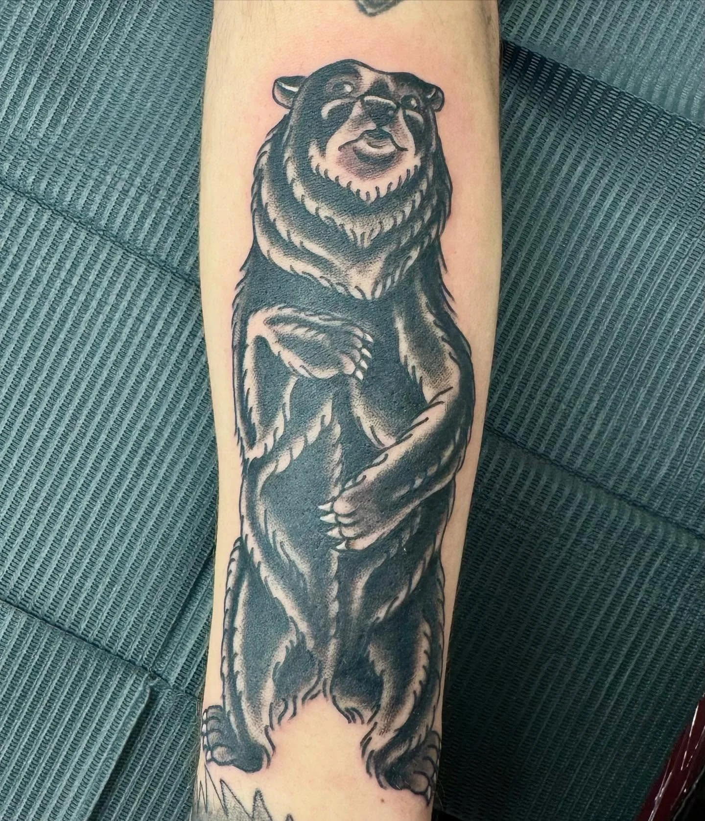 Tattooed by @jjtattoos 
.
.
.
.
.
.
#bear #tattoo #tattooshop #ink #art #artist #tattooart #tattooing #tattoolife #fyp #nomansland #nomanslandtattoo #adobetattoo #twentyninepalms #29palms #joshuatreenationalpark #29 #jtnp #joshuatree #jt #yuccavalley