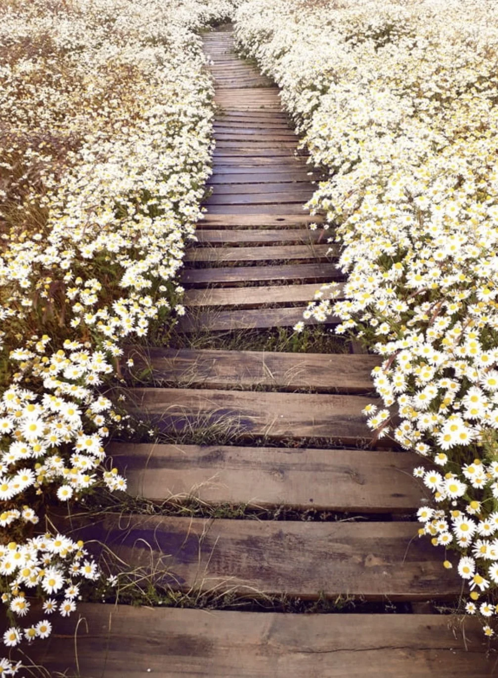 Authenticity Wins Every Time