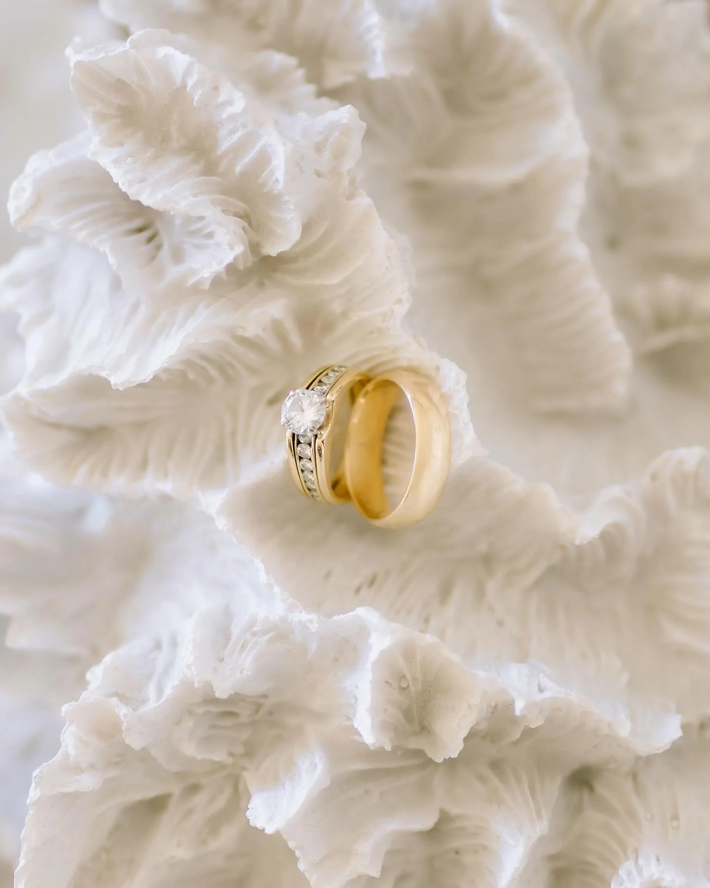 Renate and Ira renewed their vows in Los Cabos, within the quiet beauty of Pedregal &mdash; a place that seemed made for them. The afternoon light fell softly over the desert landscape, wrapping every moment in calmness and meaning.

This wasn&rsquo;