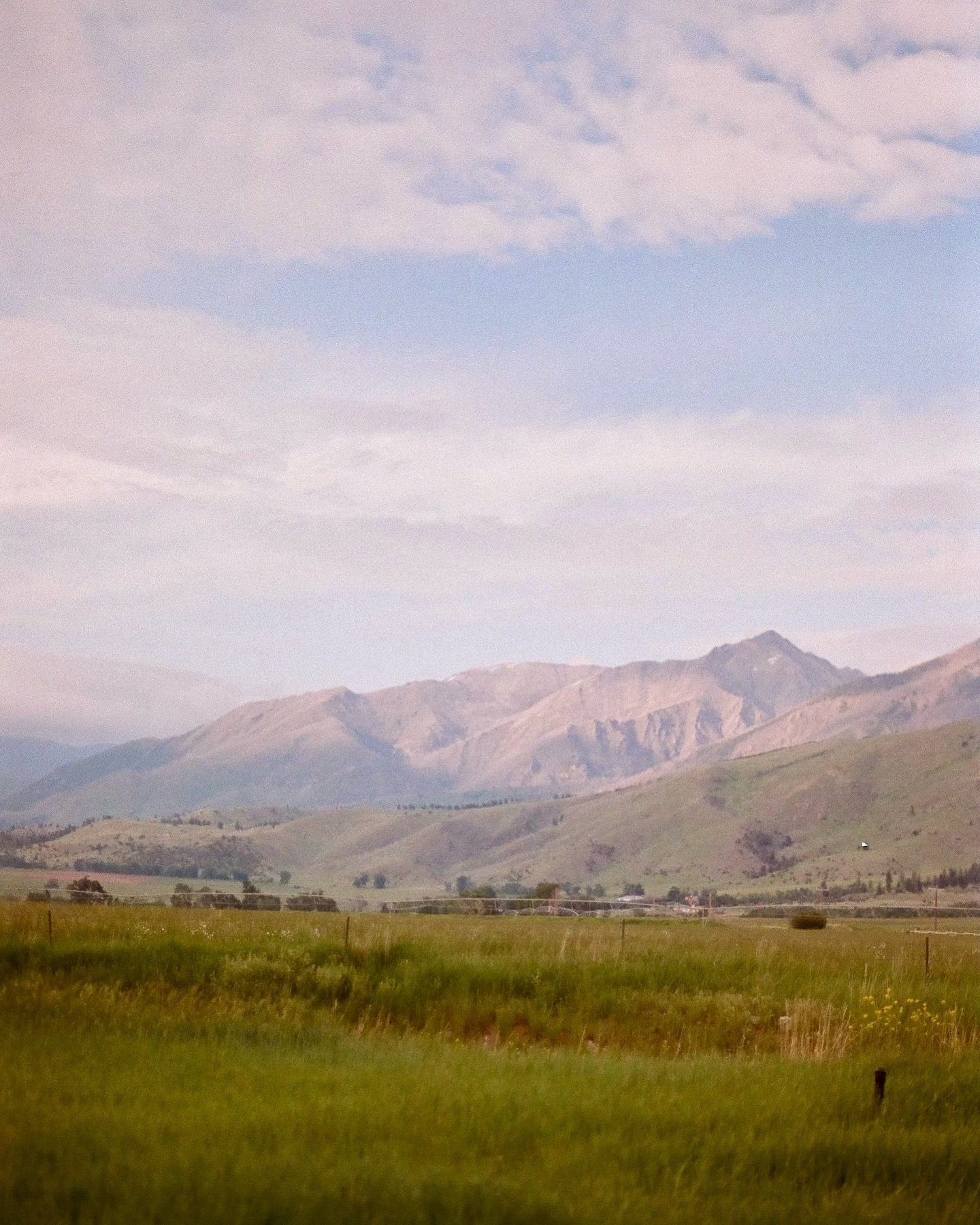 Montana in June 2023 snapped on 35mm film using my Nikon FM2 📷