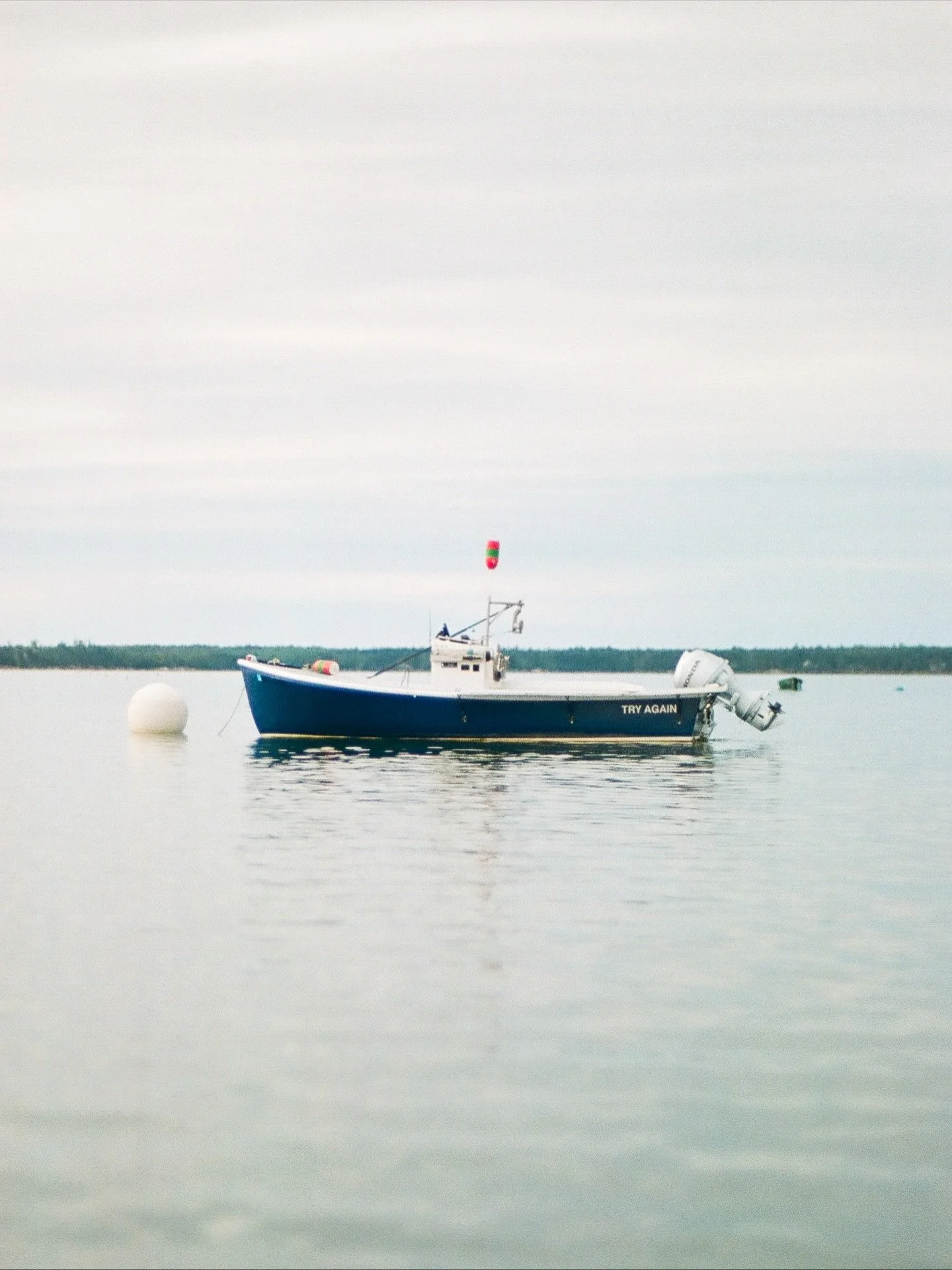 🛥️☀️ 🌊 🌲 🦞