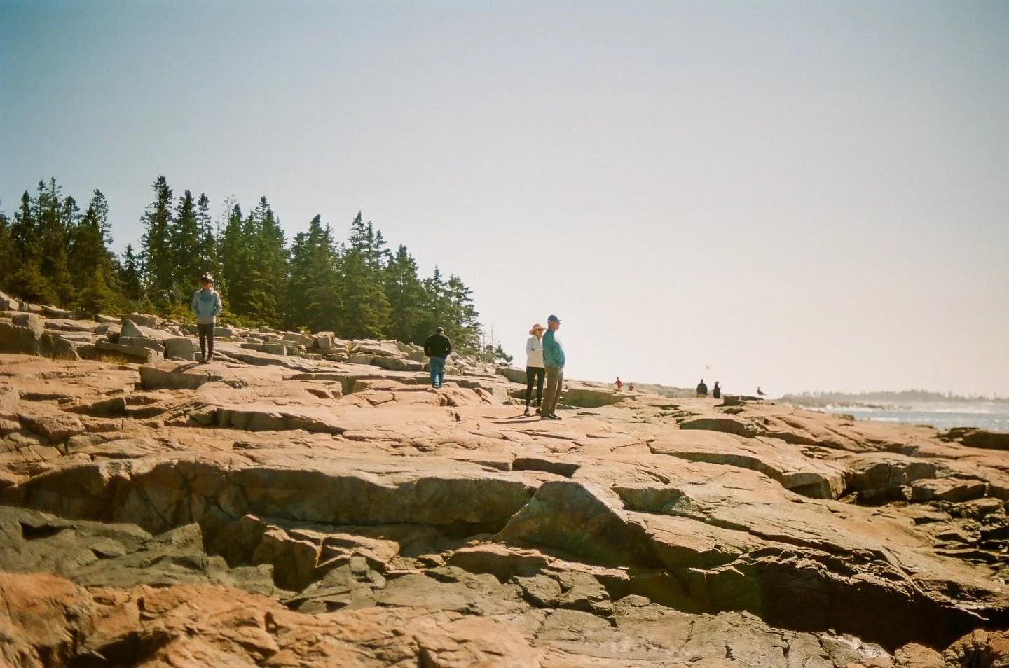 Downeast summer on film (horizontal orientation edition) 🌞