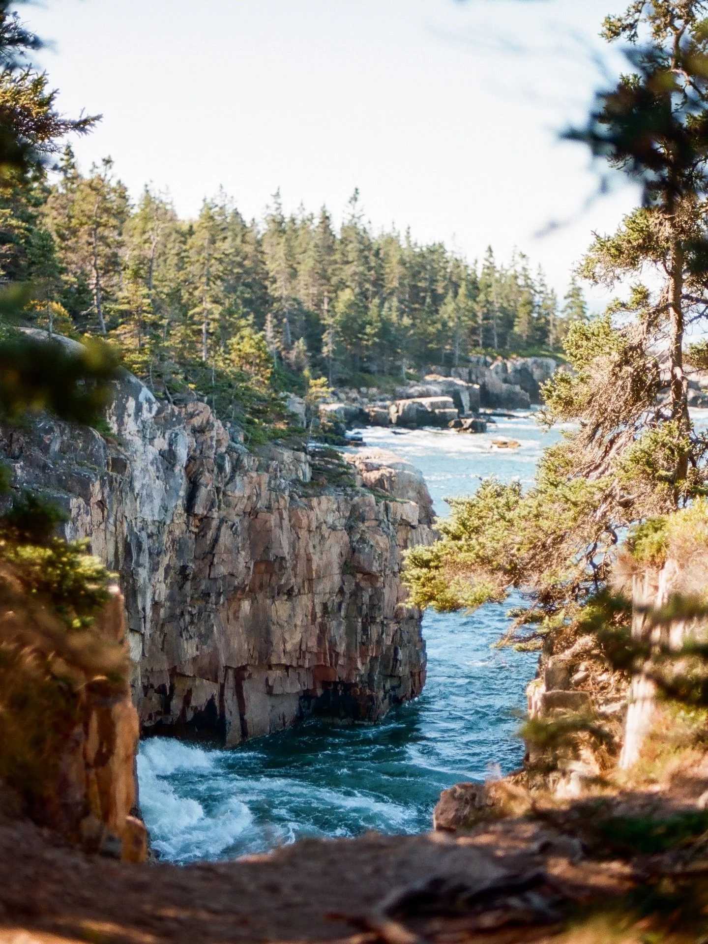 Pretty soon, Maine is gonna look like this again 😍