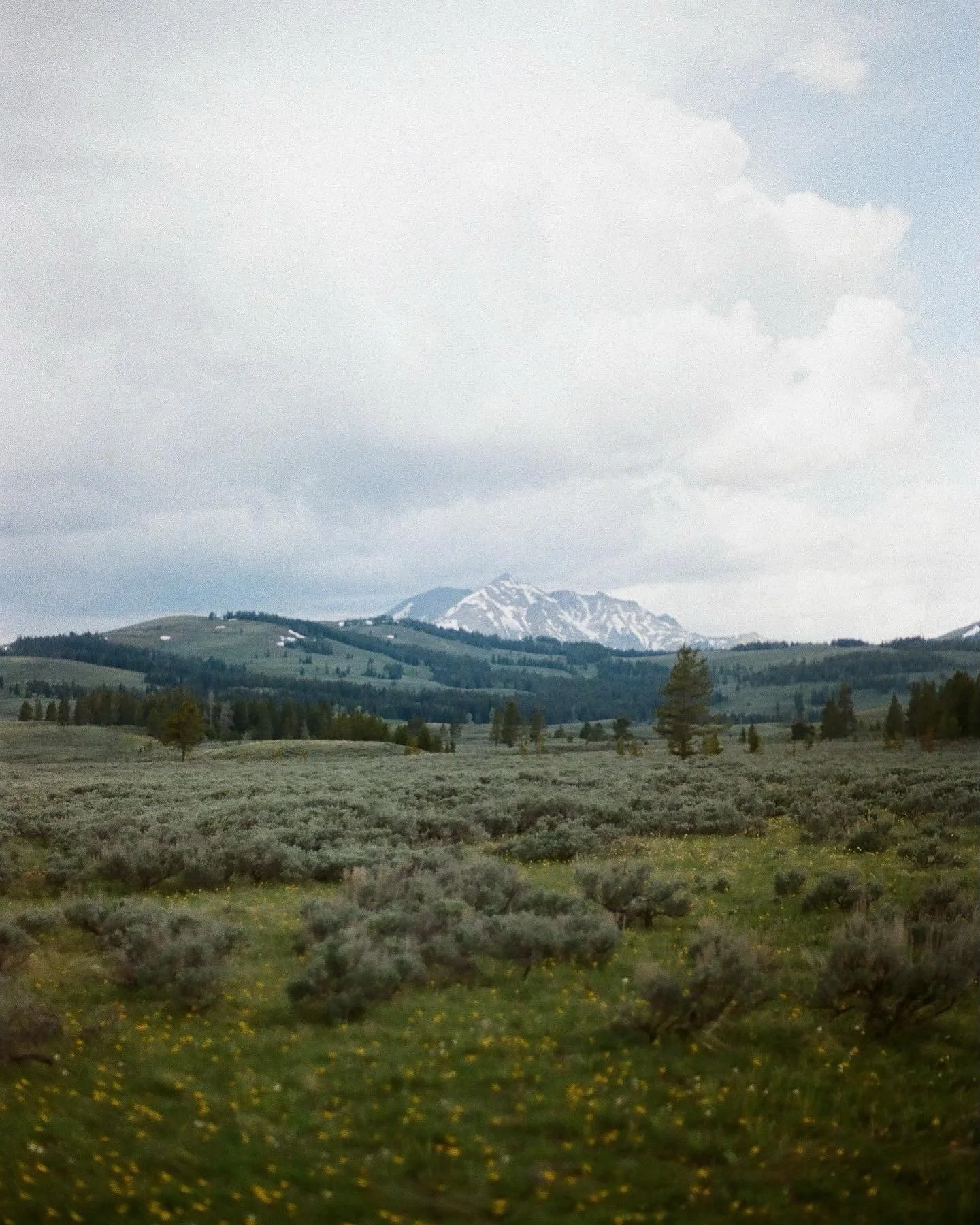 I know I&rsquo;m mostly know for my portraiture but I love love love landscape and nature photography. If you ever see anything on my Instagram or website that you&rsquo;d like a print of, reach out and we&rsquo;ll make it happen.