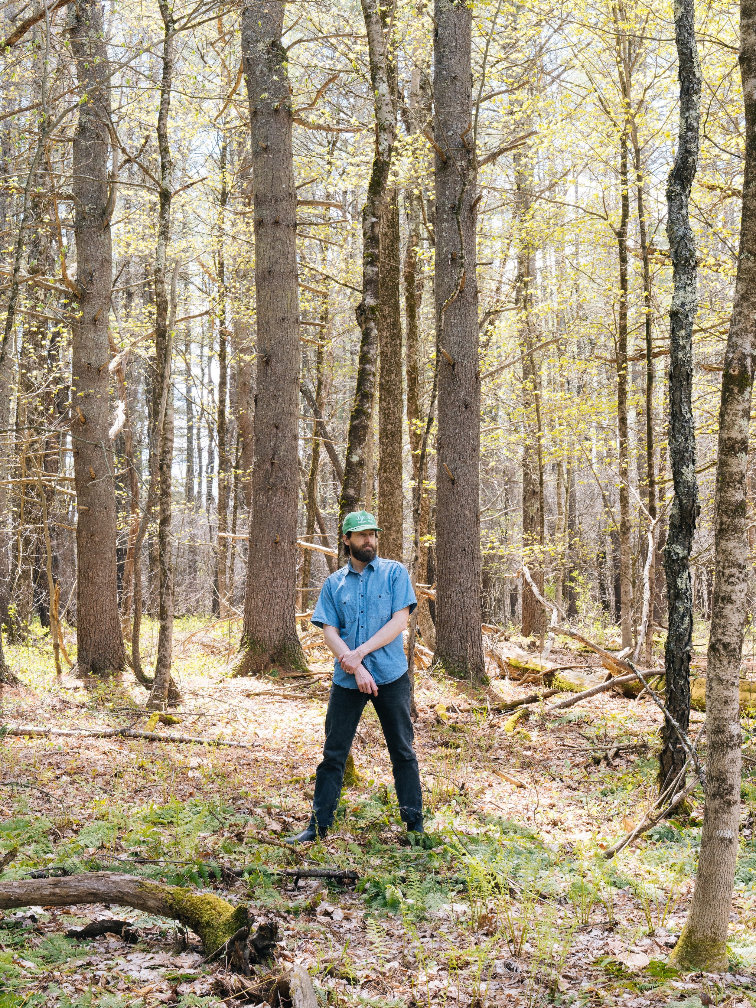 🌲🌲🌲