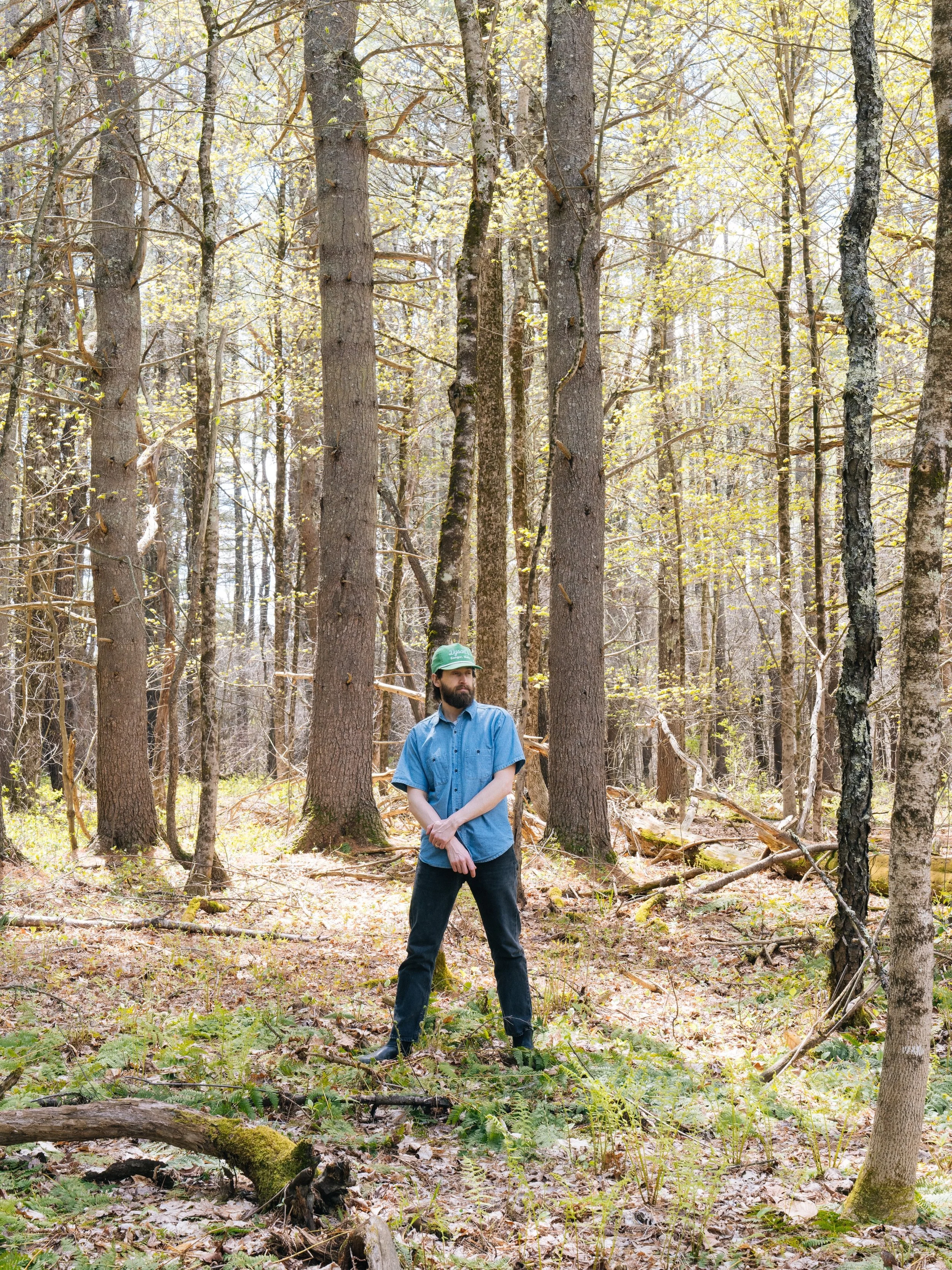 🌲🌲🌲