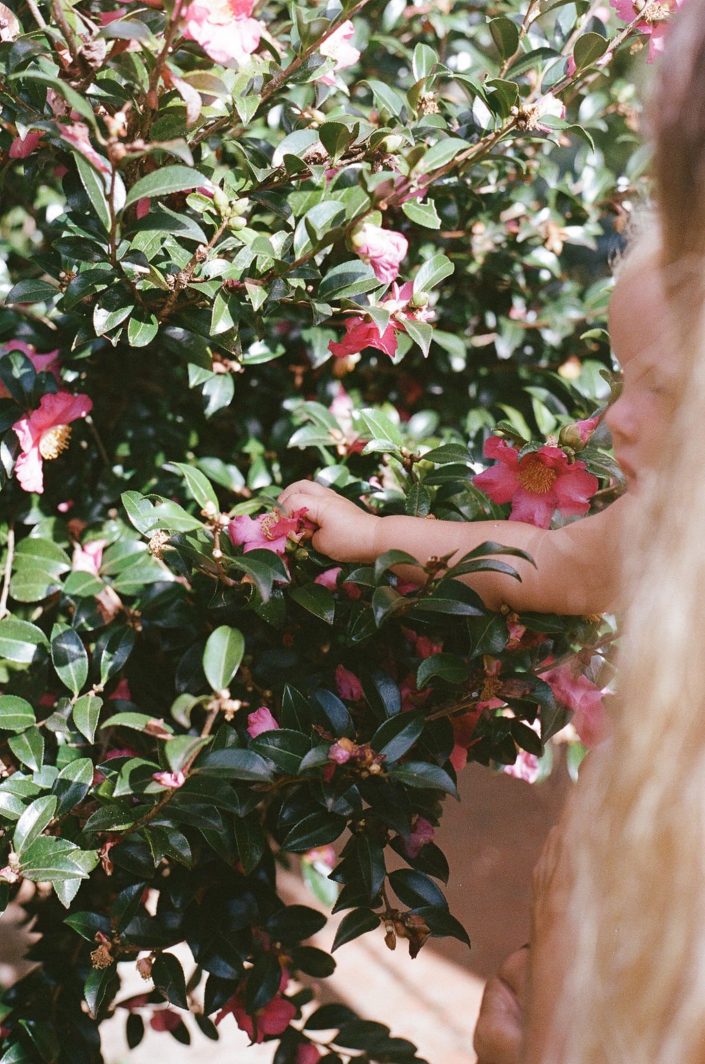 KRISTIE-1.jpg