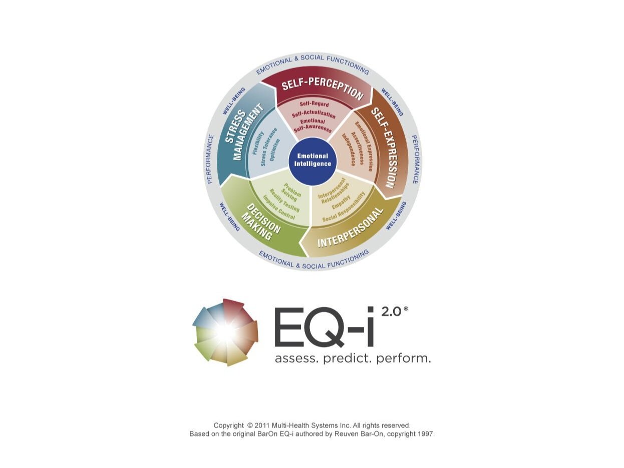 EQ Assessment & Debrief