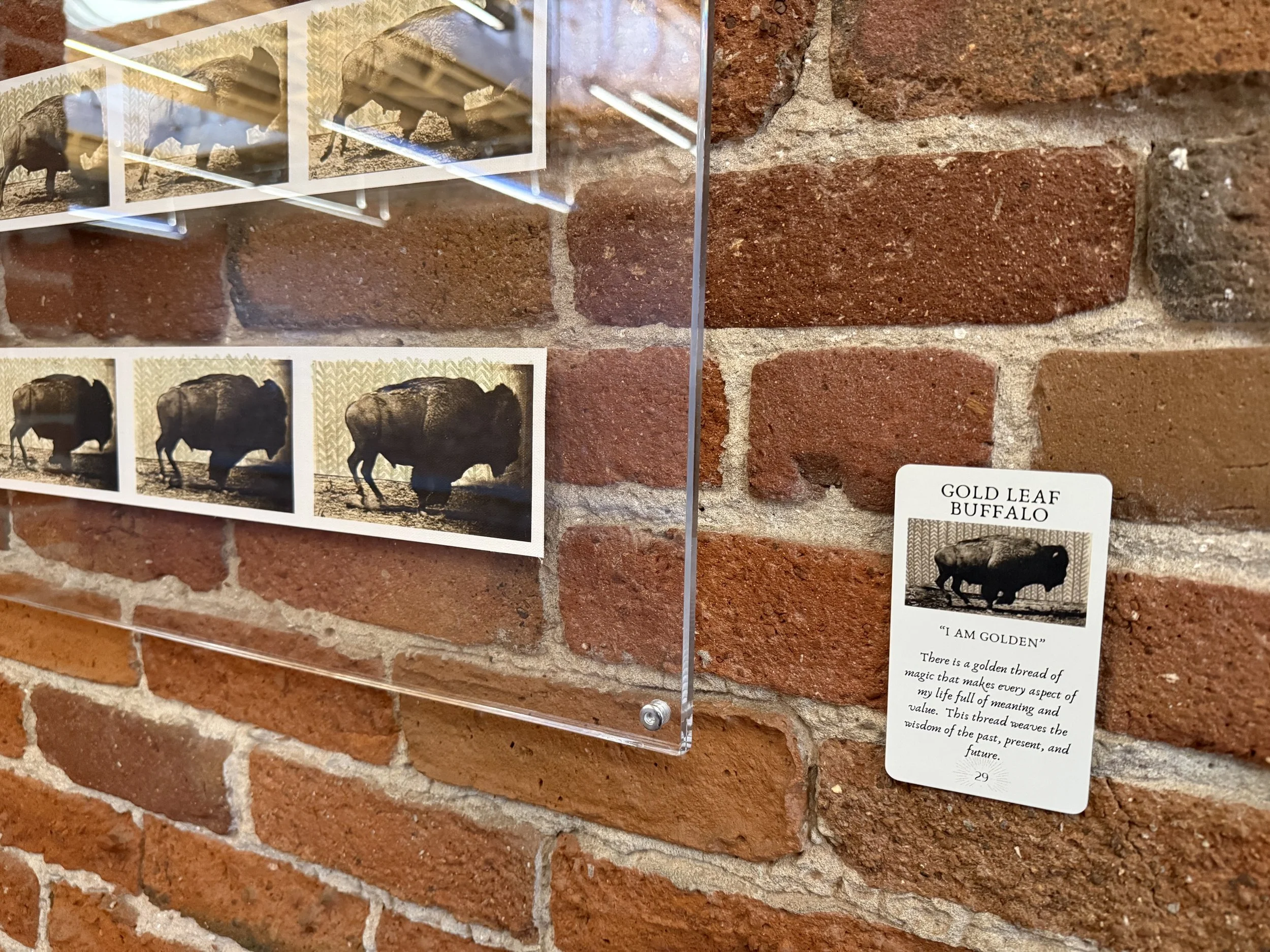 29. Gold Leaf Buffalo 29.jpeg